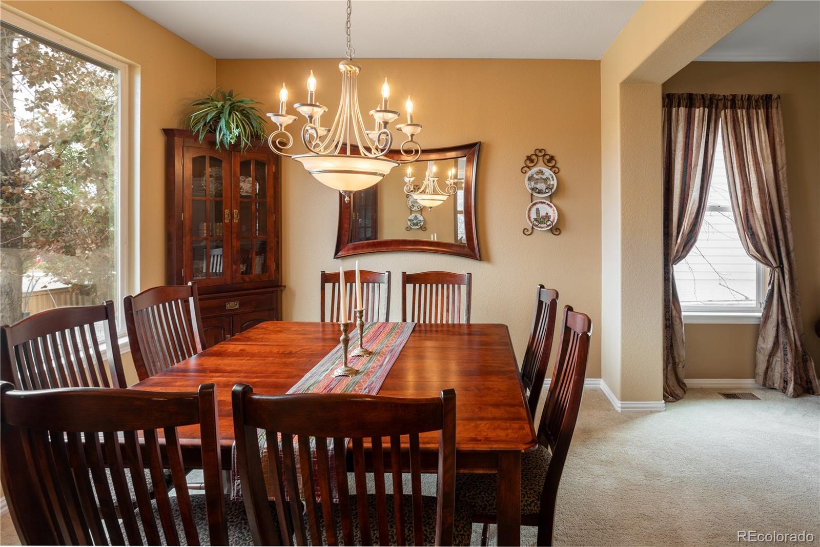 MLS Image #15 for 3239  chandon court,highlands ranch, Colorado