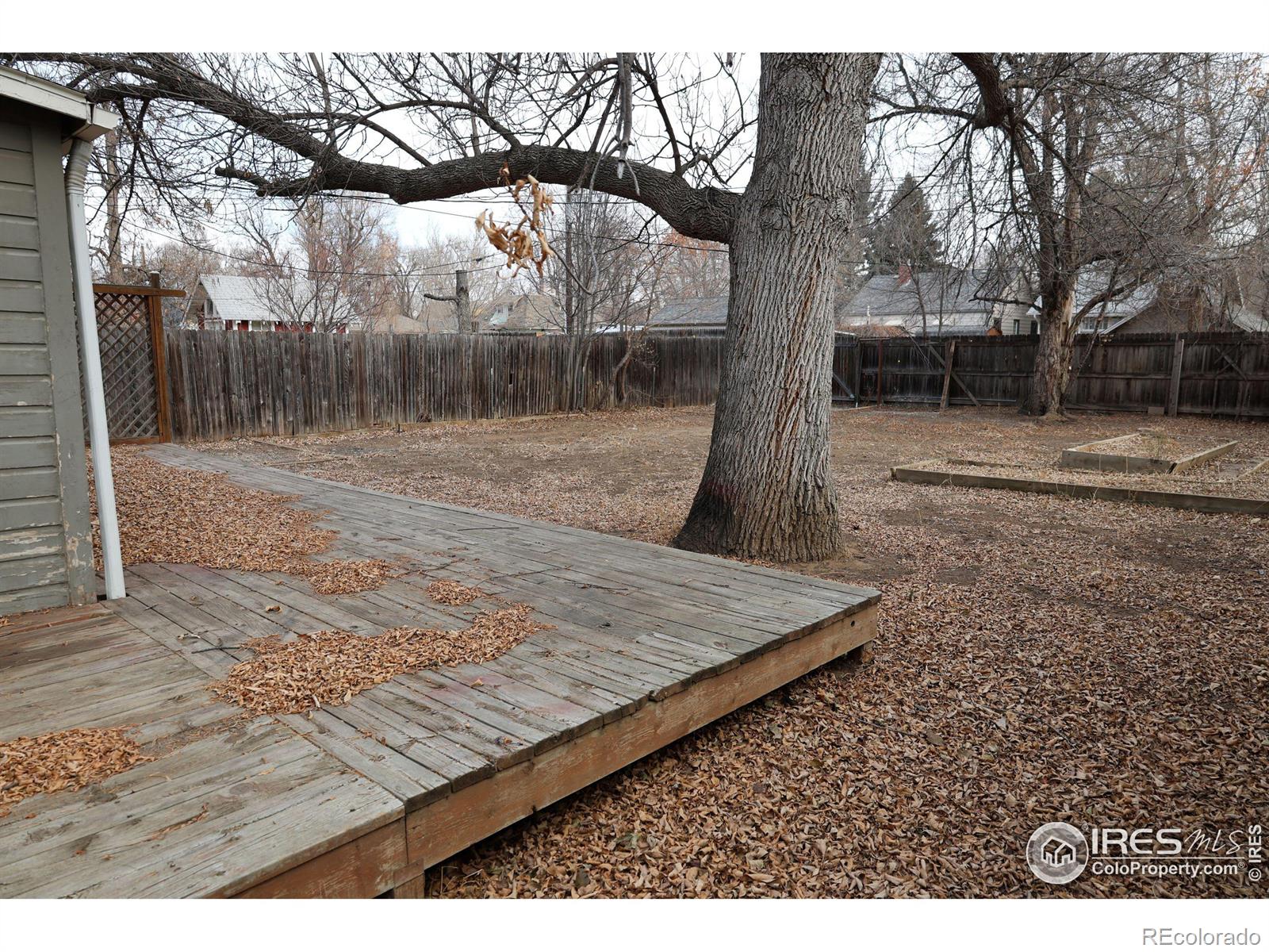 MLS Image #18 for 942  bross street,longmont, Colorado