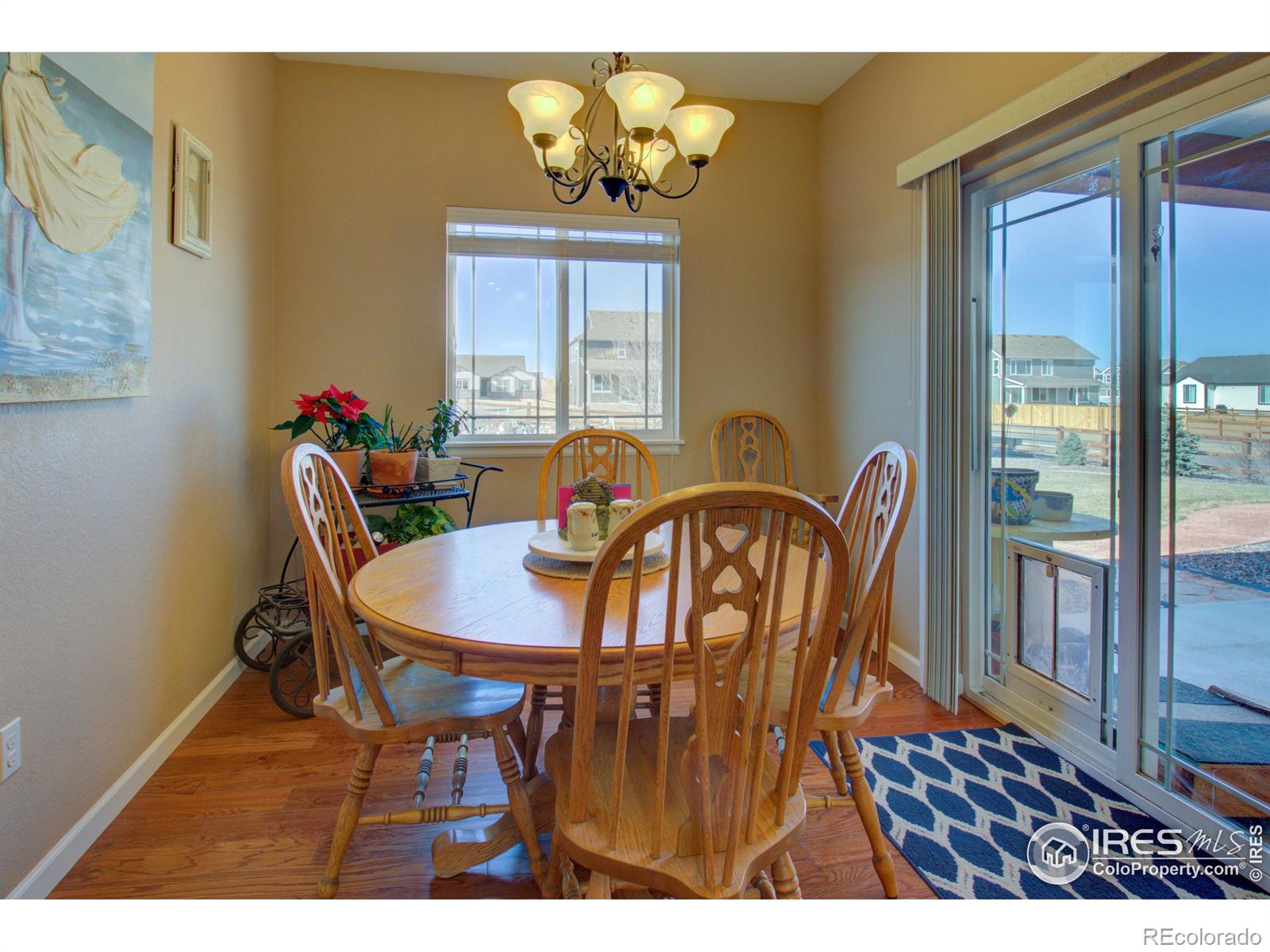 MLS Image #12 for 4691  carmichael court,brighton, Colorado