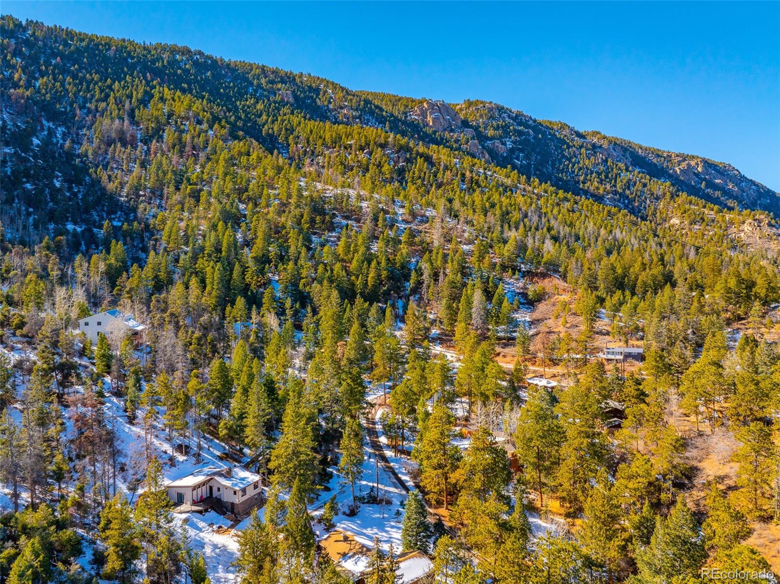 MLS Image #2 for 9445  shoshone road,cascade, Colorado