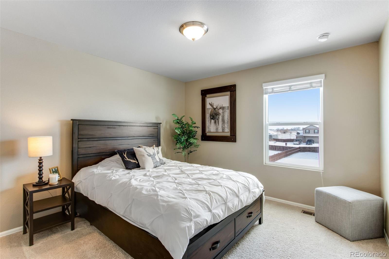MLS Image #24 for 6864  covenant court,timnath, Colorado
