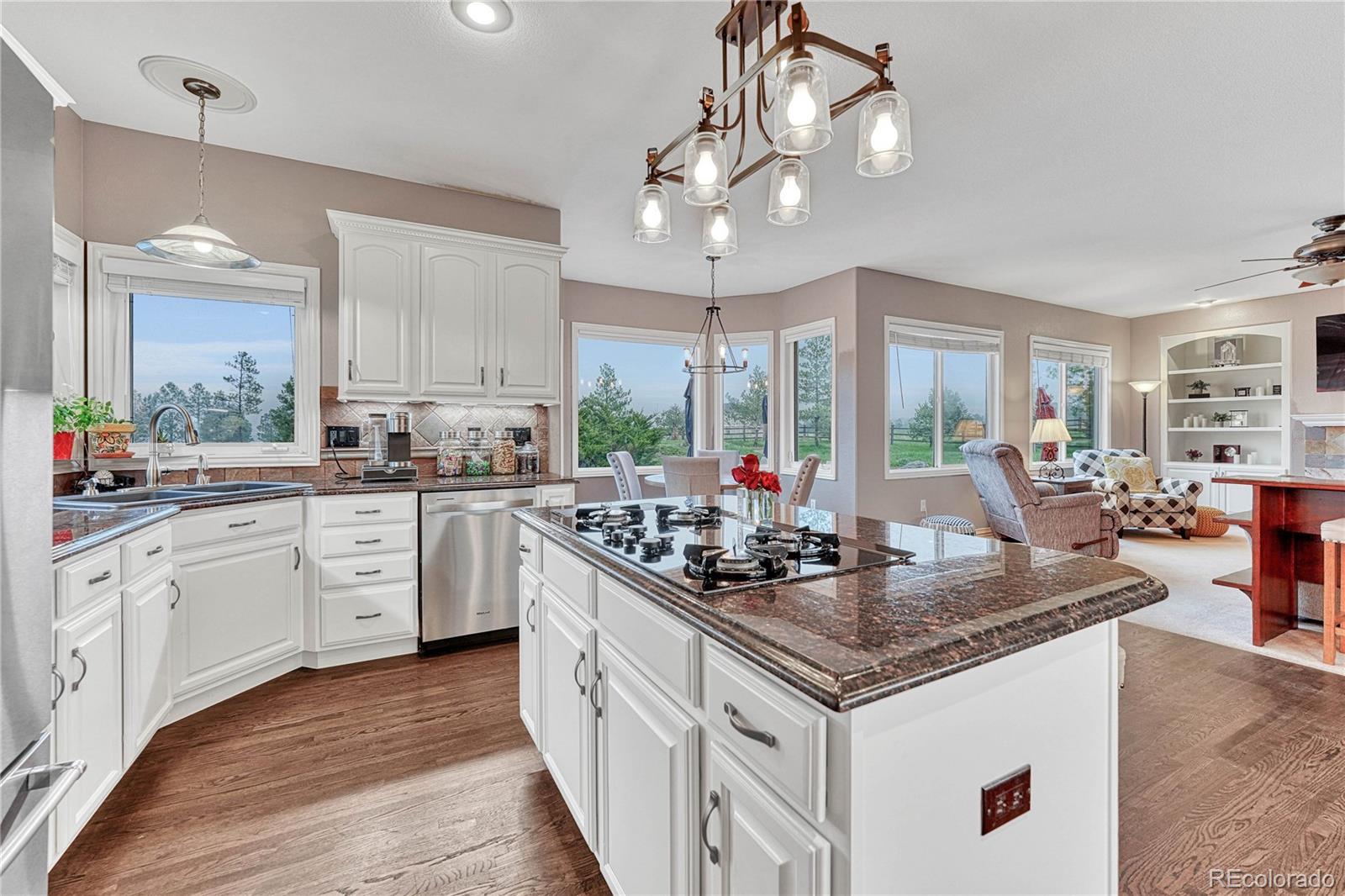 MLS Image #8 for 7519  nuthatch circle,parker, Colorado