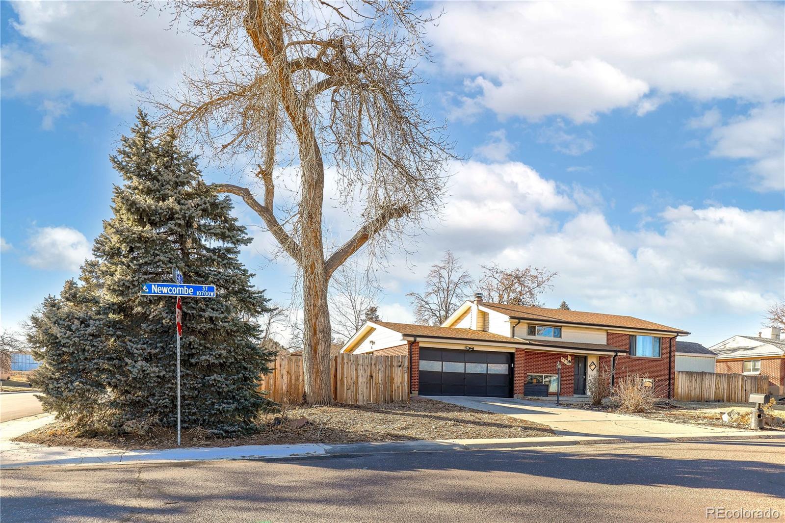 MLS Image #1 for 815  newcombe street,lakewood, Colorado