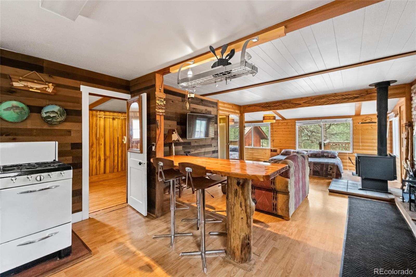 MLS Image #10 for 28488  cedar avenue,pine, Colorado