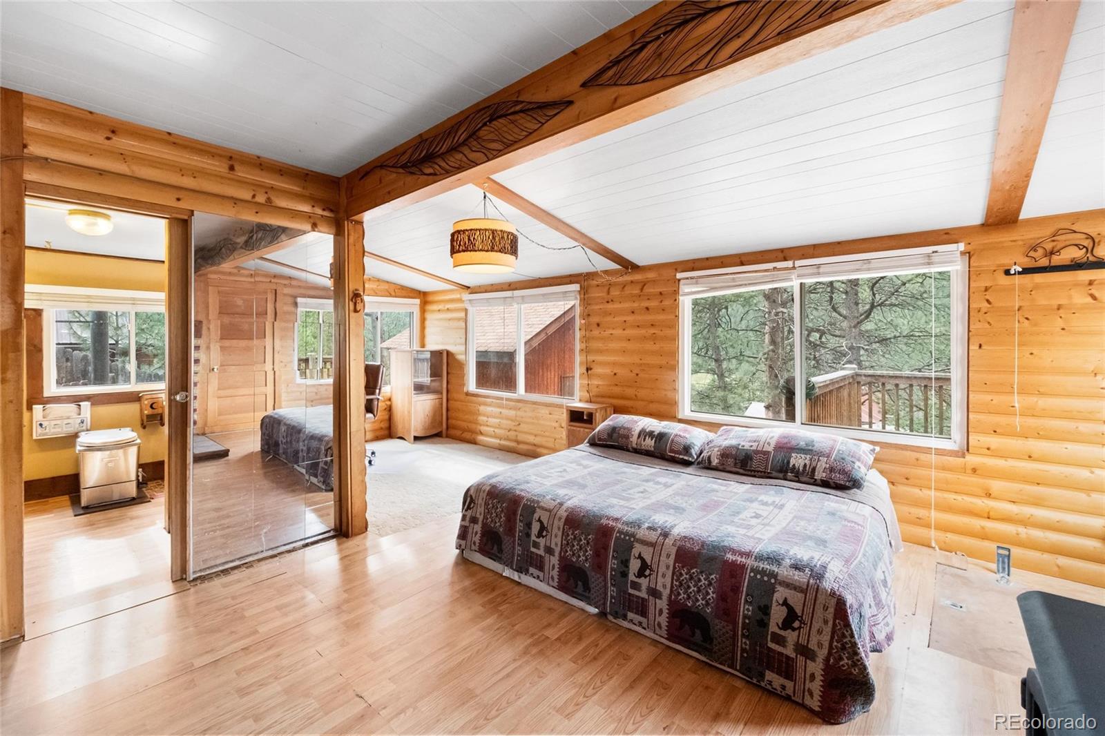 MLS Image #15 for 28488  cedar avenue,pine, Colorado