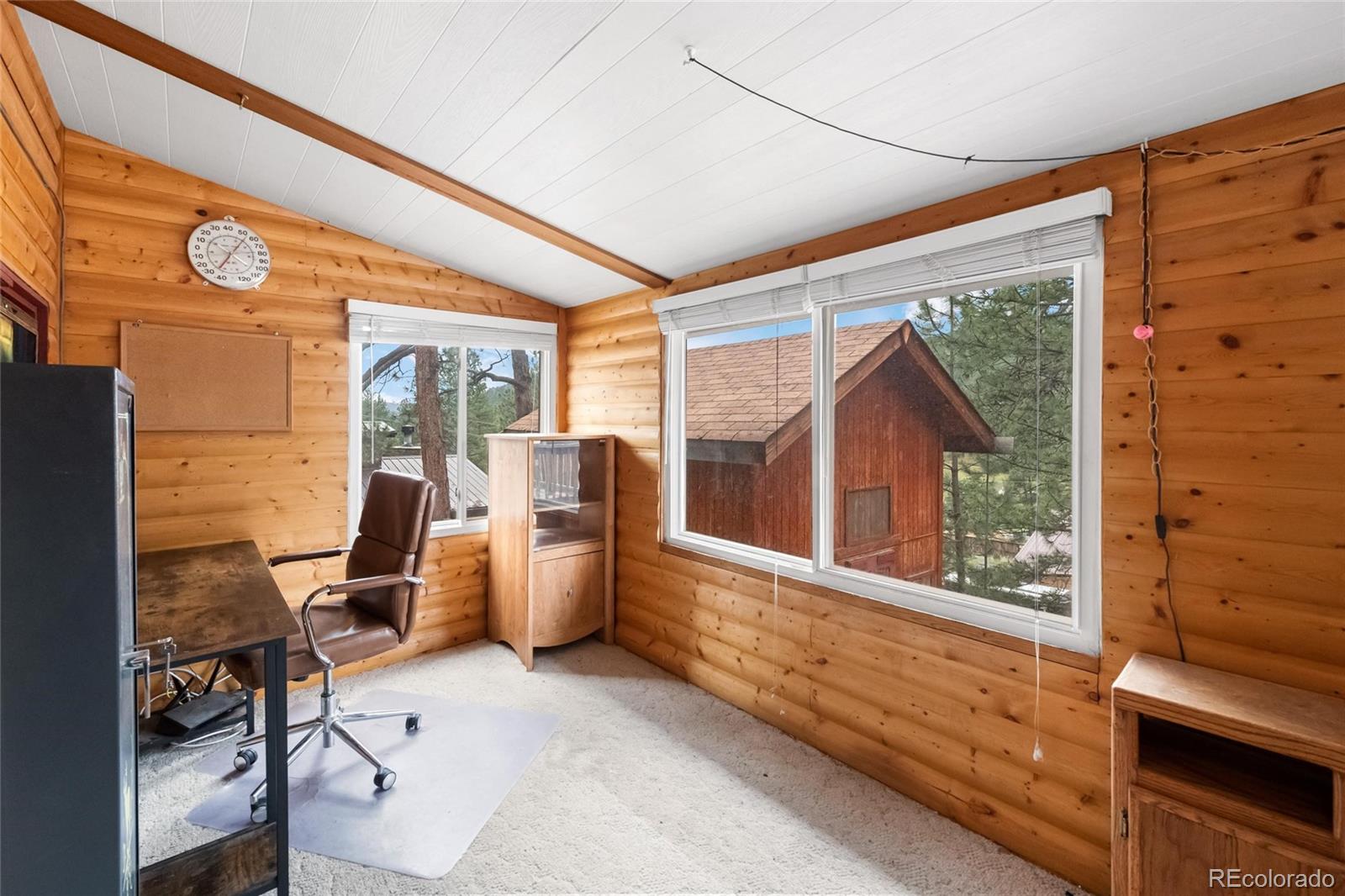 MLS Image #17 for 28488  cedar avenue,pine, Colorado