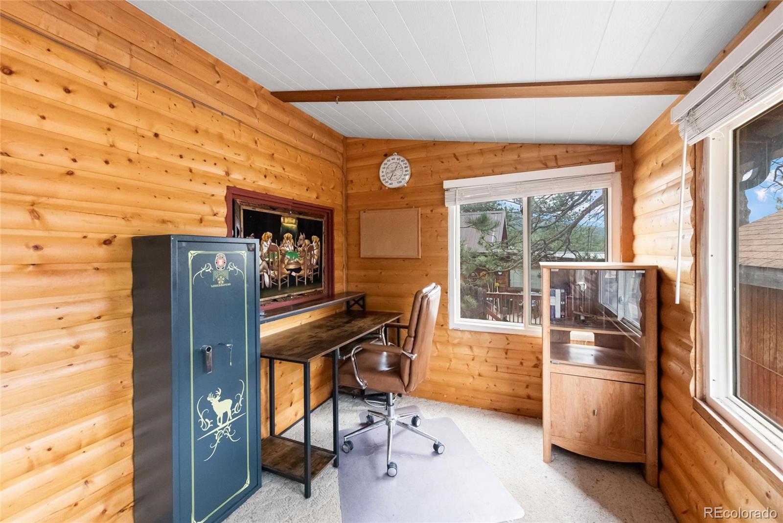 MLS Image #18 for 28488  cedar avenue,pine, Colorado