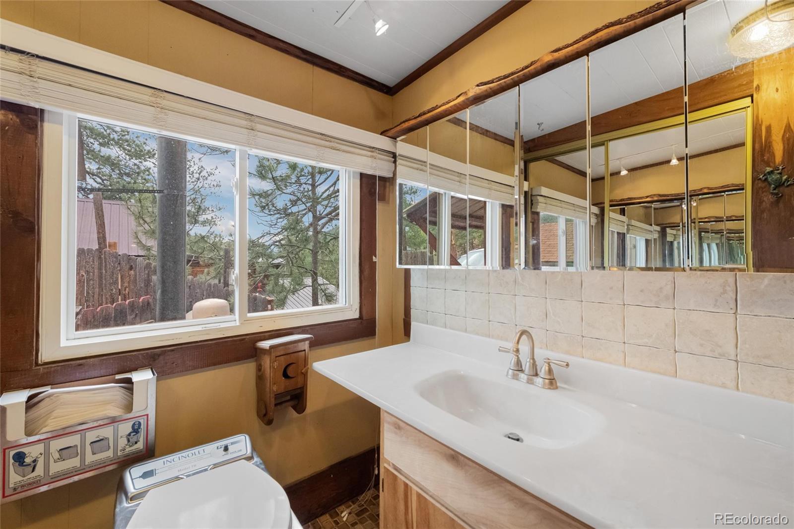 MLS Image #20 for 28488  cedar avenue,pine, Colorado