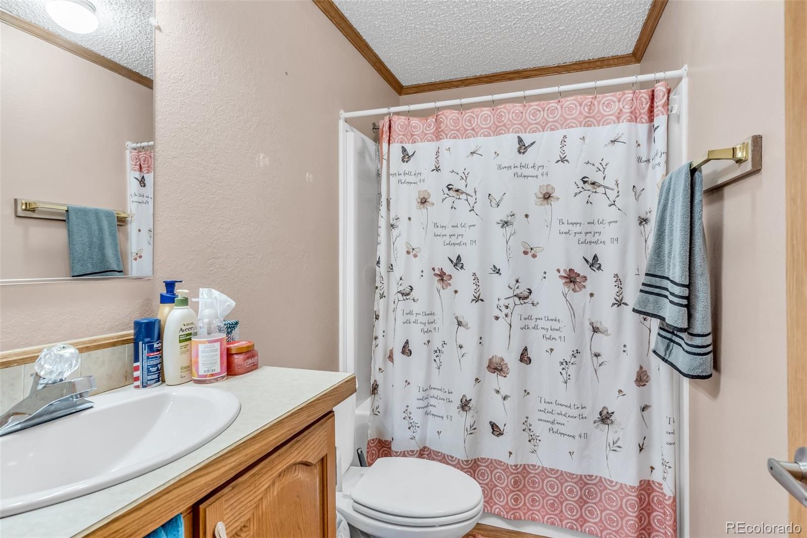 MLS Image #21 for 1271  pennsylvania avenue,canon city, Colorado