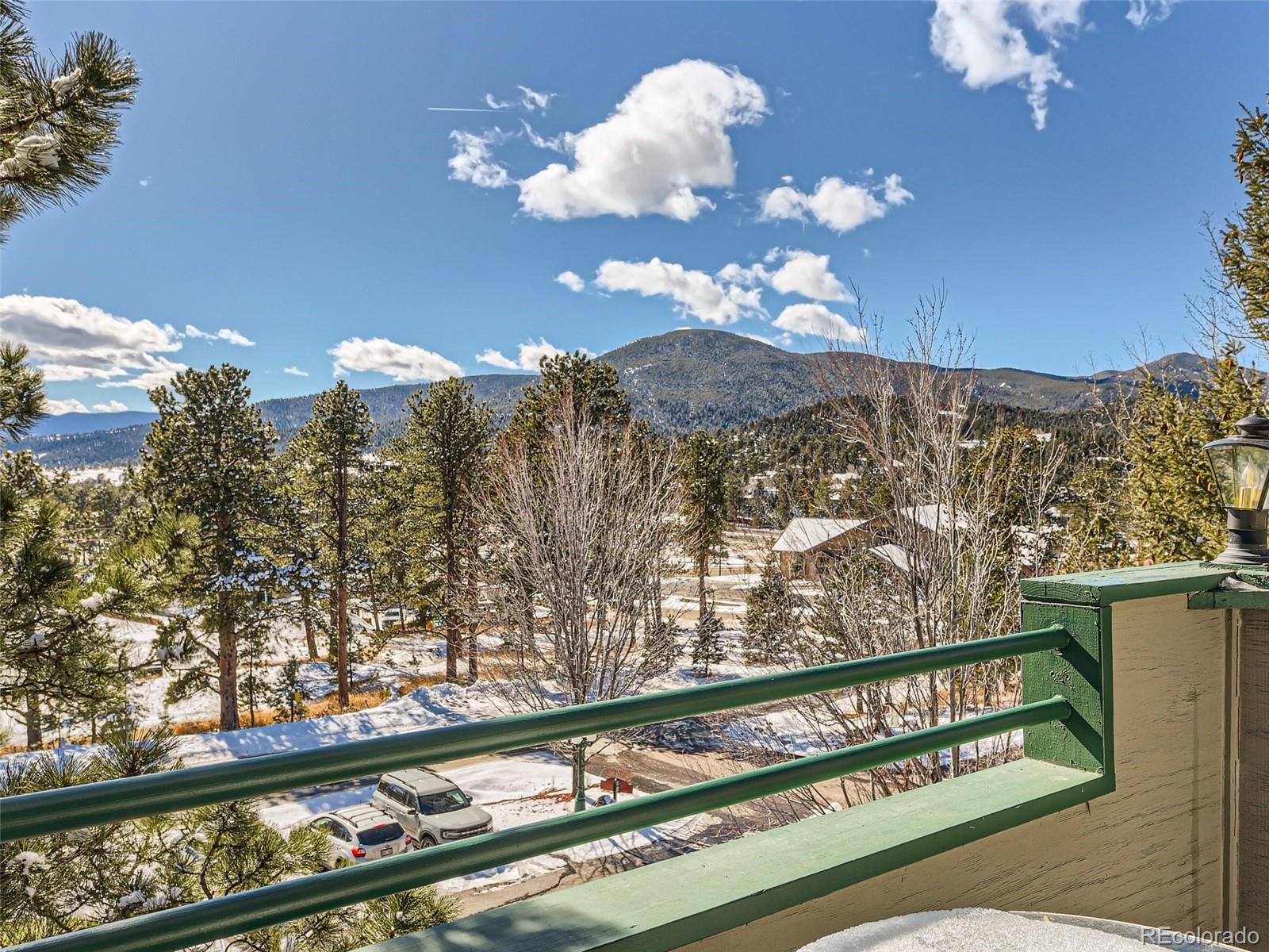 MLS Image #33 for 31819  rocky village drive,evergreen, Colorado