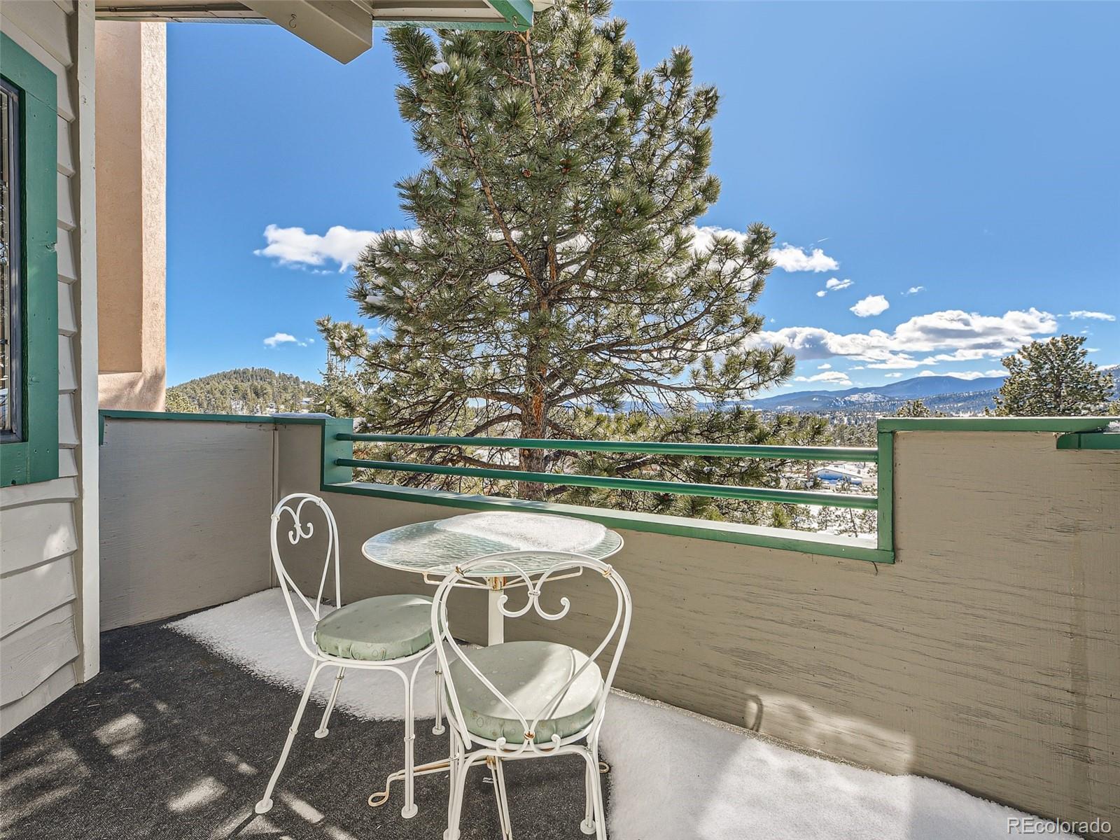 MLS Image #34 for 31819  rocky village drive,evergreen, Colorado