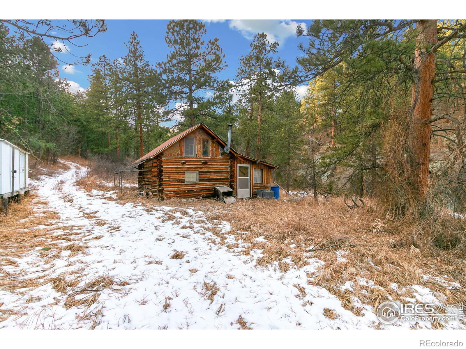 MLS Image #4 for 1179  cedar creek road,drake, Colorado