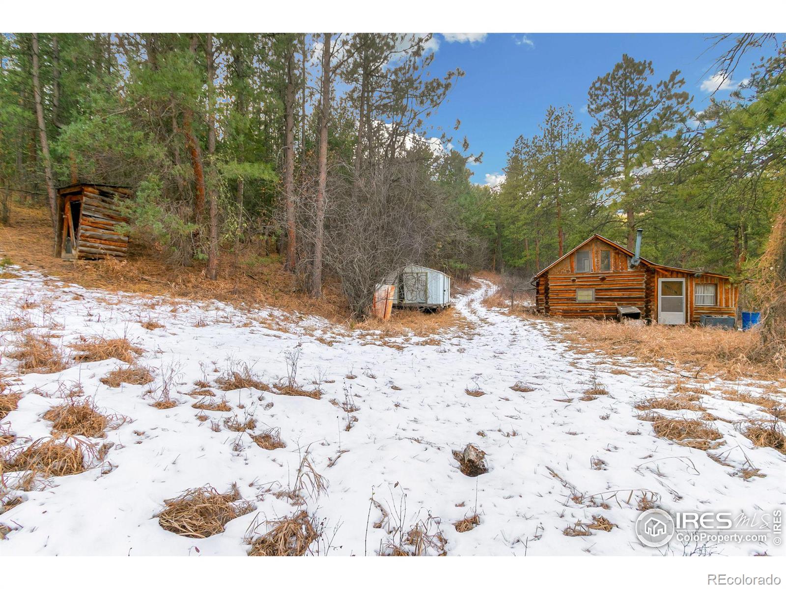 MLS Image #5 for 1179  cedar creek road,drake, Colorado