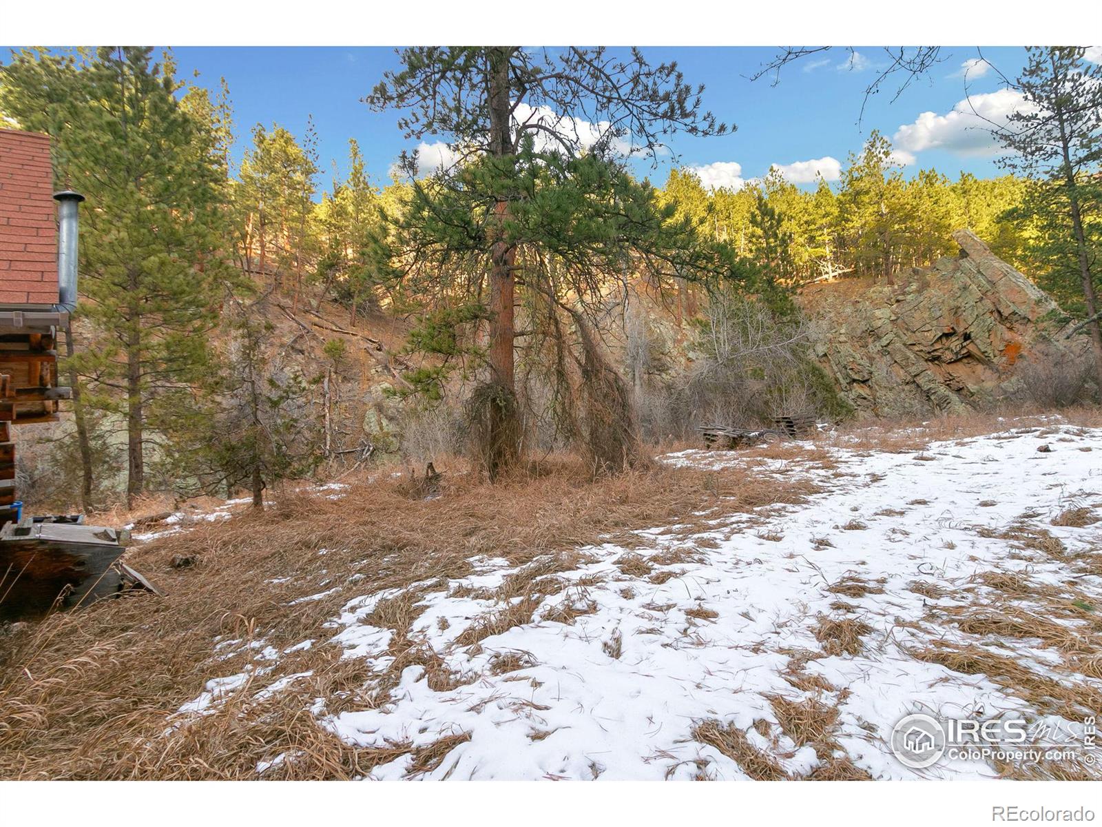 MLS Image #6 for 1179  cedar creek road,drake, Colorado