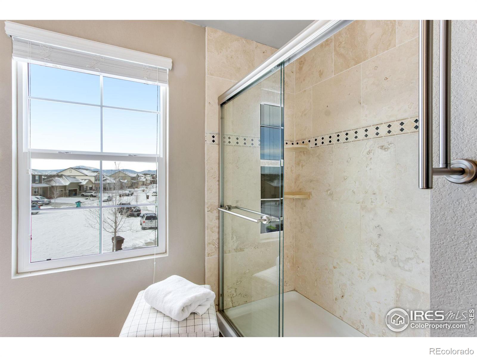 MLS Image #22 for 6864  covenant court,timnath, Colorado