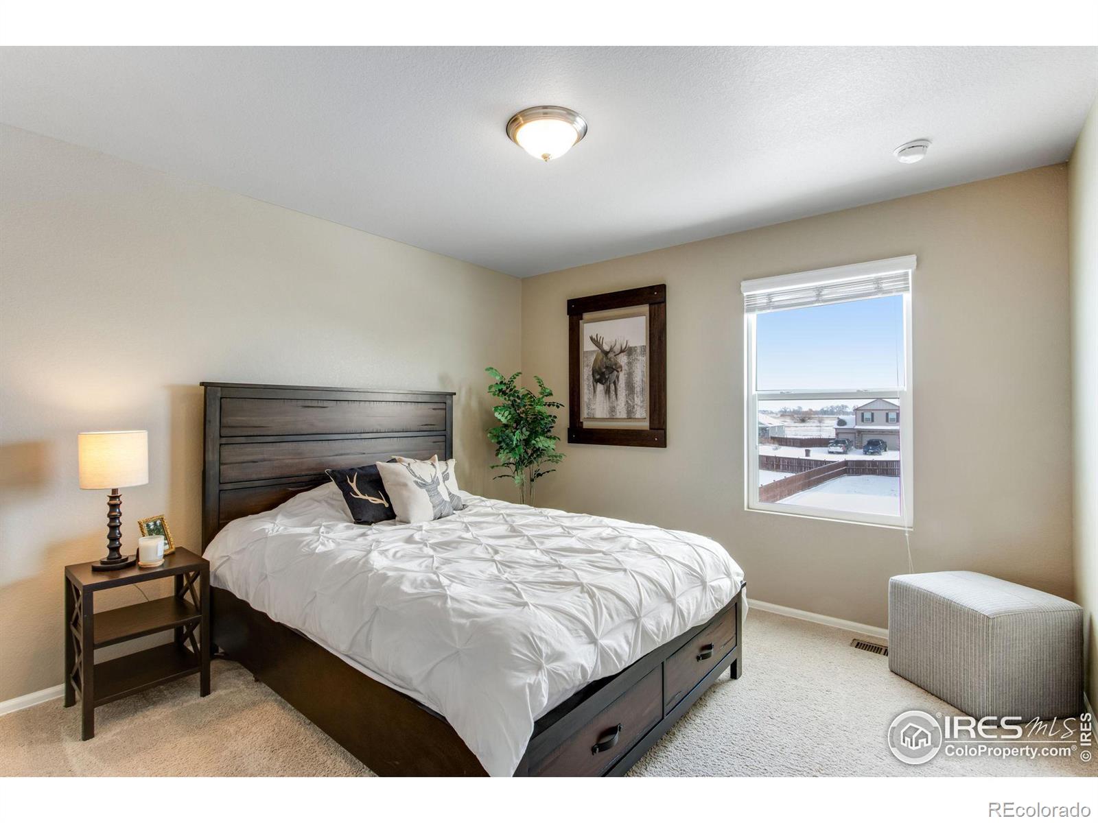 MLS Image #24 for 6864  covenant court,timnath, Colorado