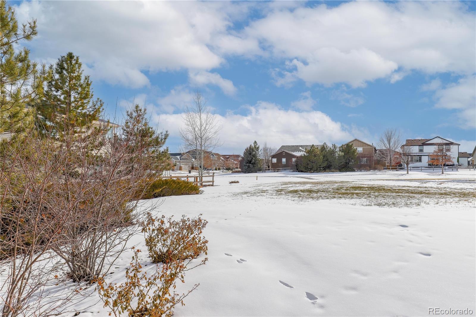 MLS Image #32 for 17060  golden poppy lane,parker, Colorado