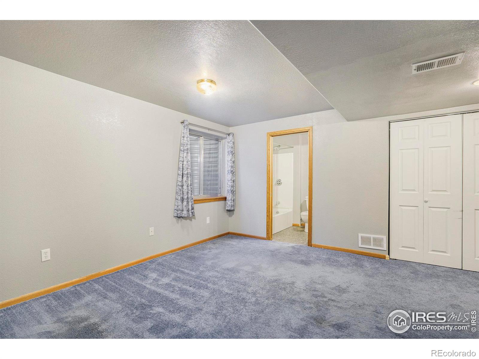 MLS Image #12 for 3956  willowood avenue,loveland, Colorado