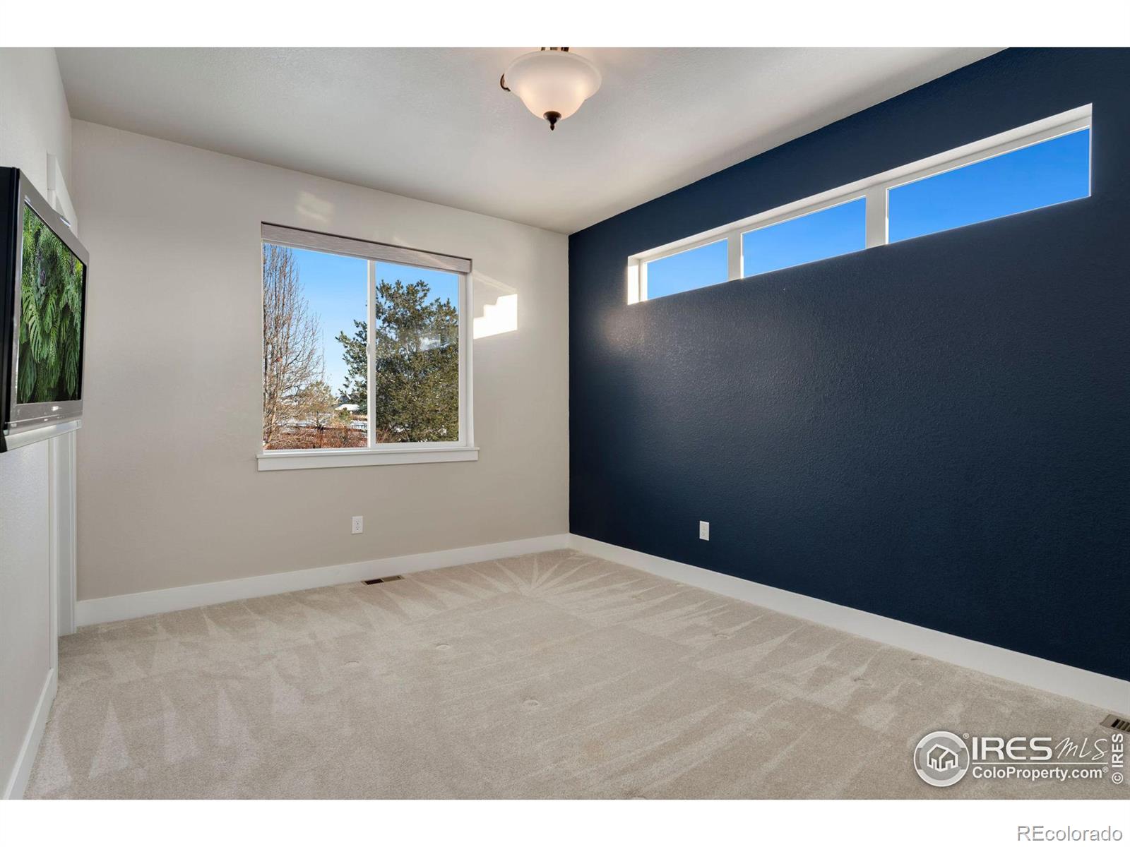 MLS Image #17 for 1200  terrace view street,timnath, Colorado