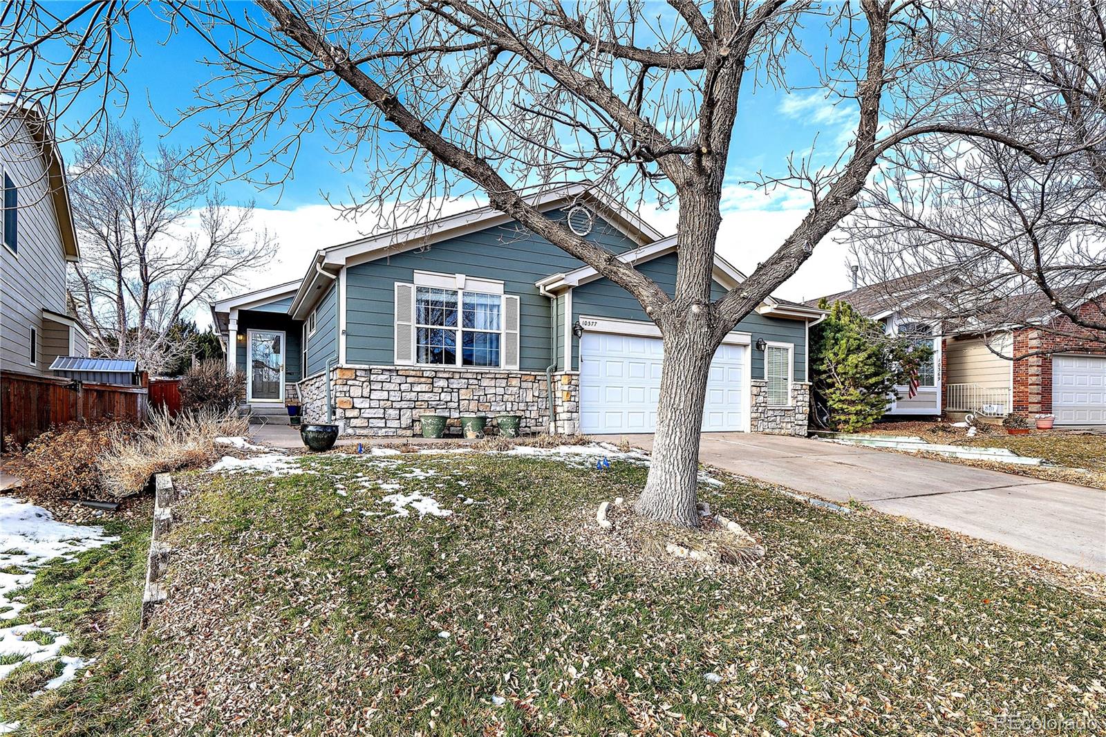Report Image for 10377  Cheetah Tail ,Littleton, Colorado