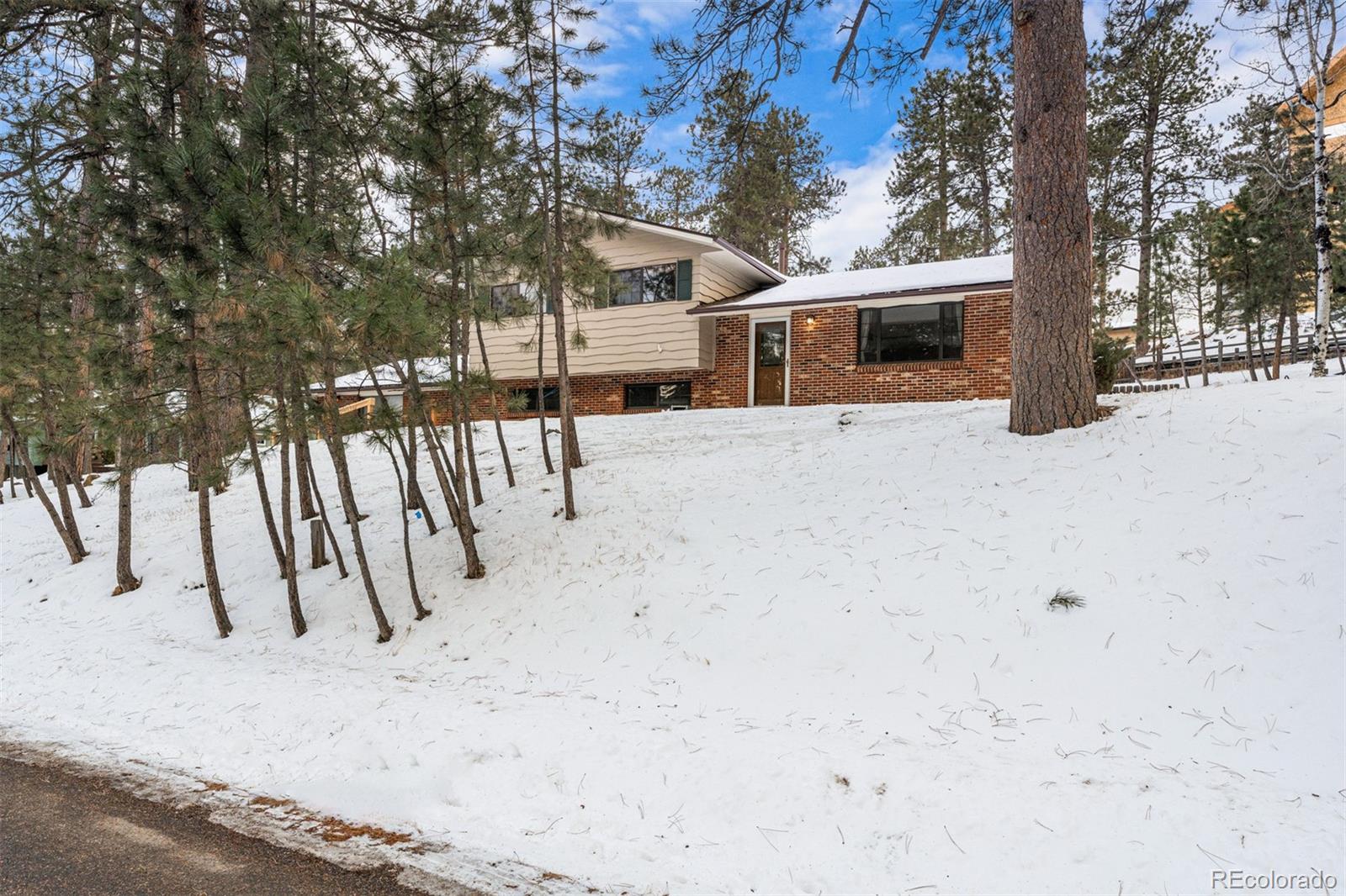 MLS Image #3 for 28210  pine drive,evergreen, Colorado
