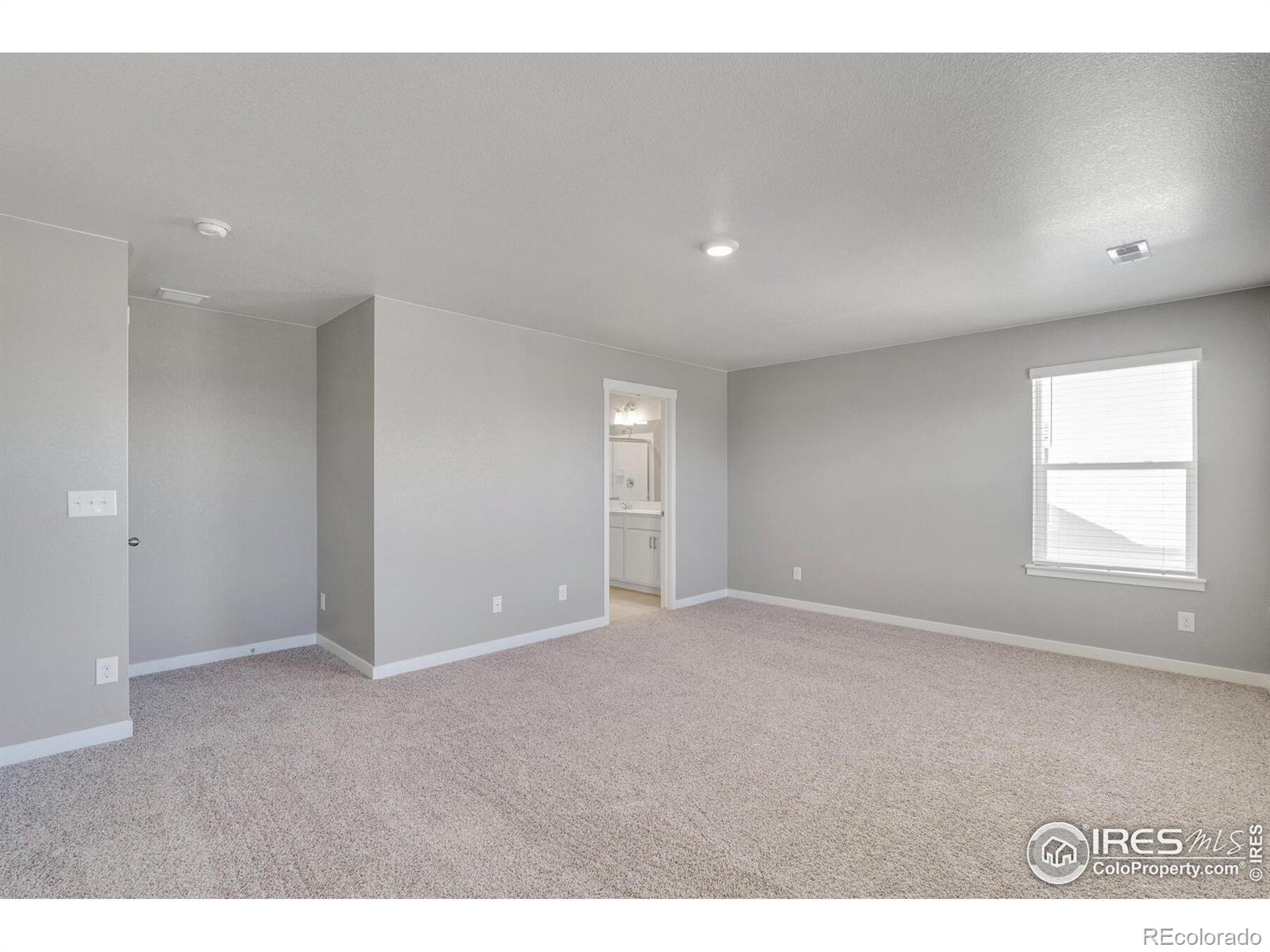 MLS Image #19 for 4104  marble drive,mead, Colorado
