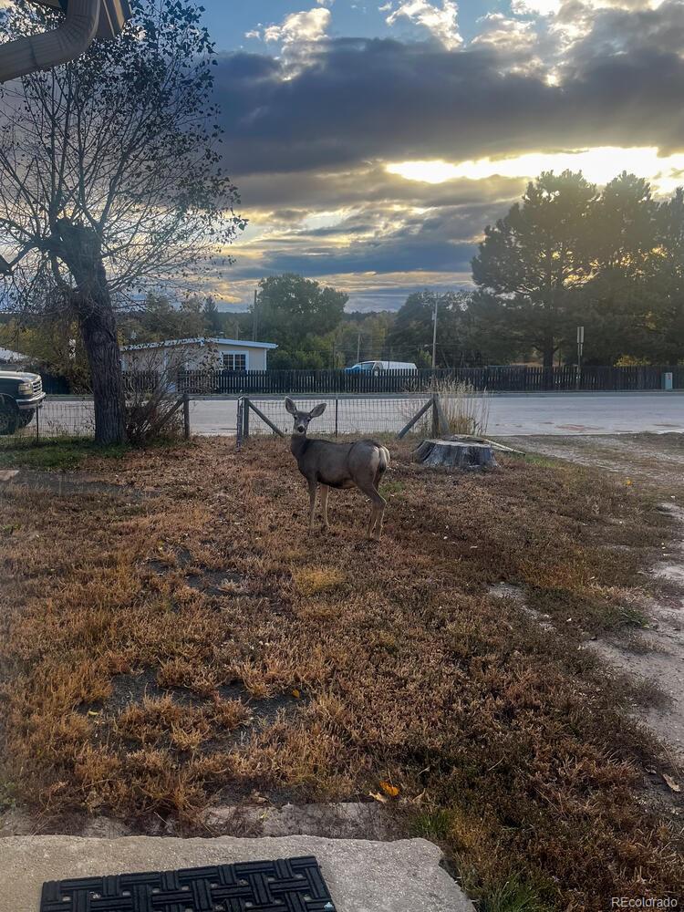 MLS Image #22 for 459 s banner street,elizabeth, Colorado