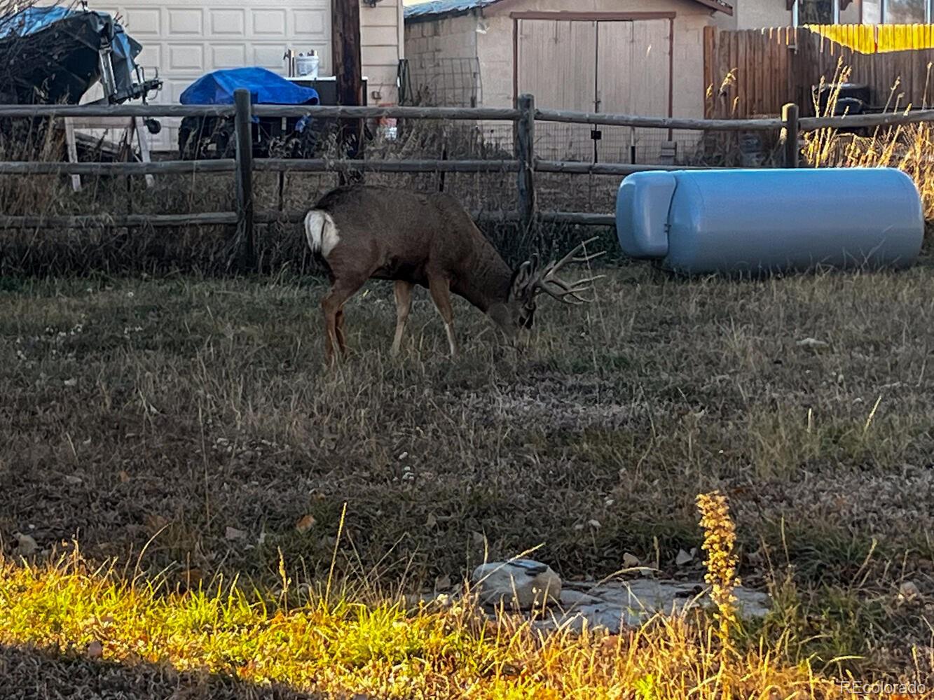 MLS Image #24 for 459 s banner street,elizabeth, Colorado