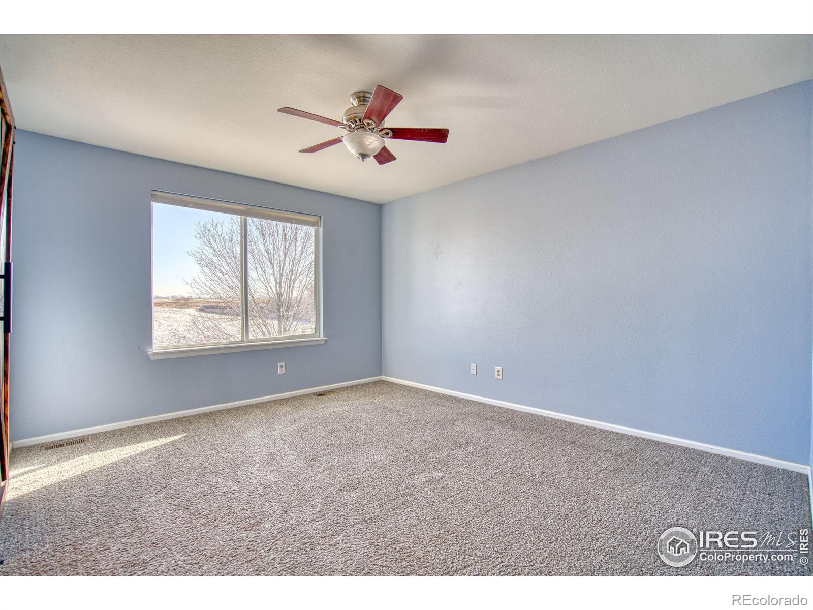 MLS Image #14 for 11314  ebony street,firestone, Colorado