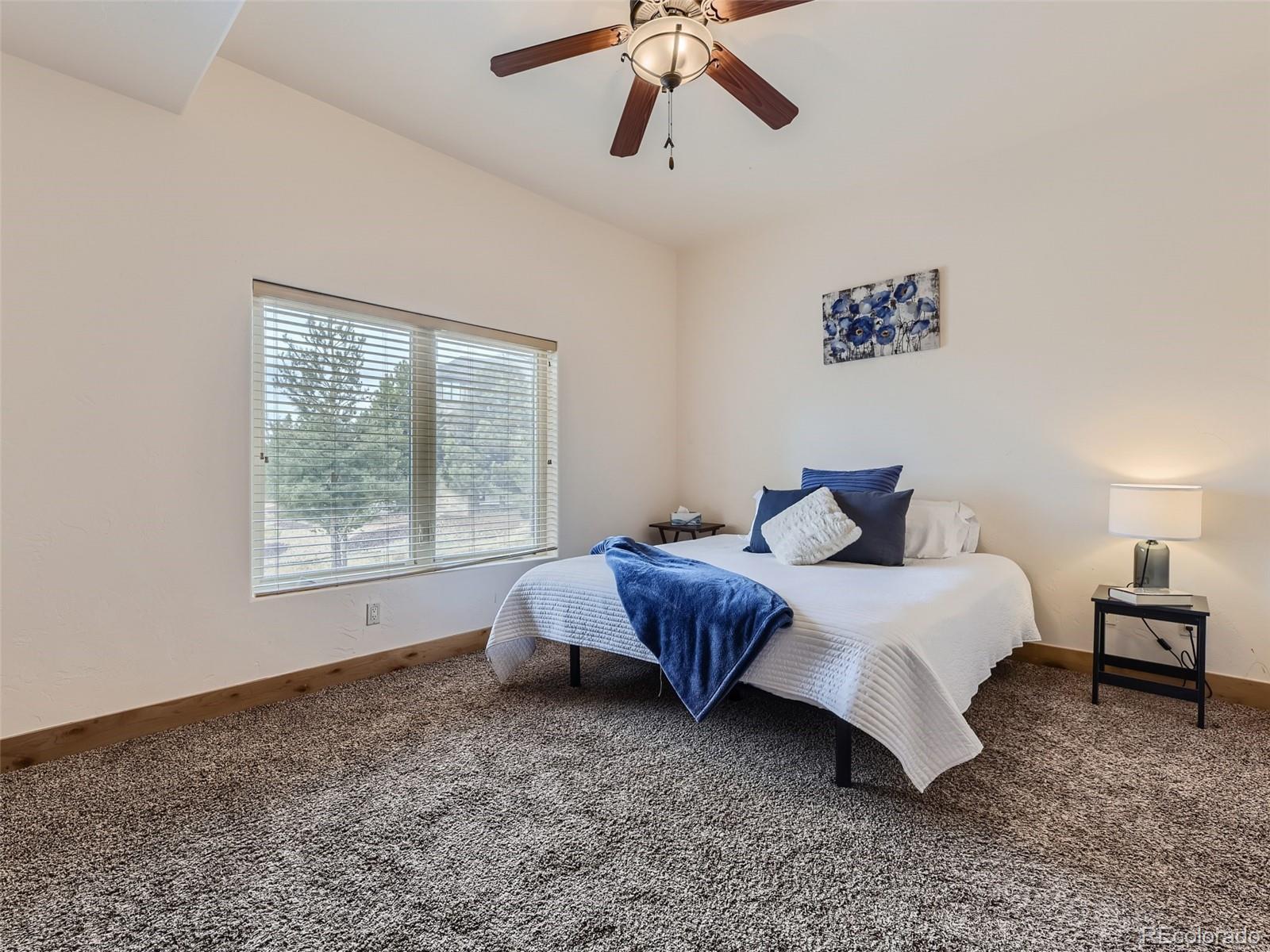 MLS Image #26 for 9327  windhaven drive,parker, Colorado