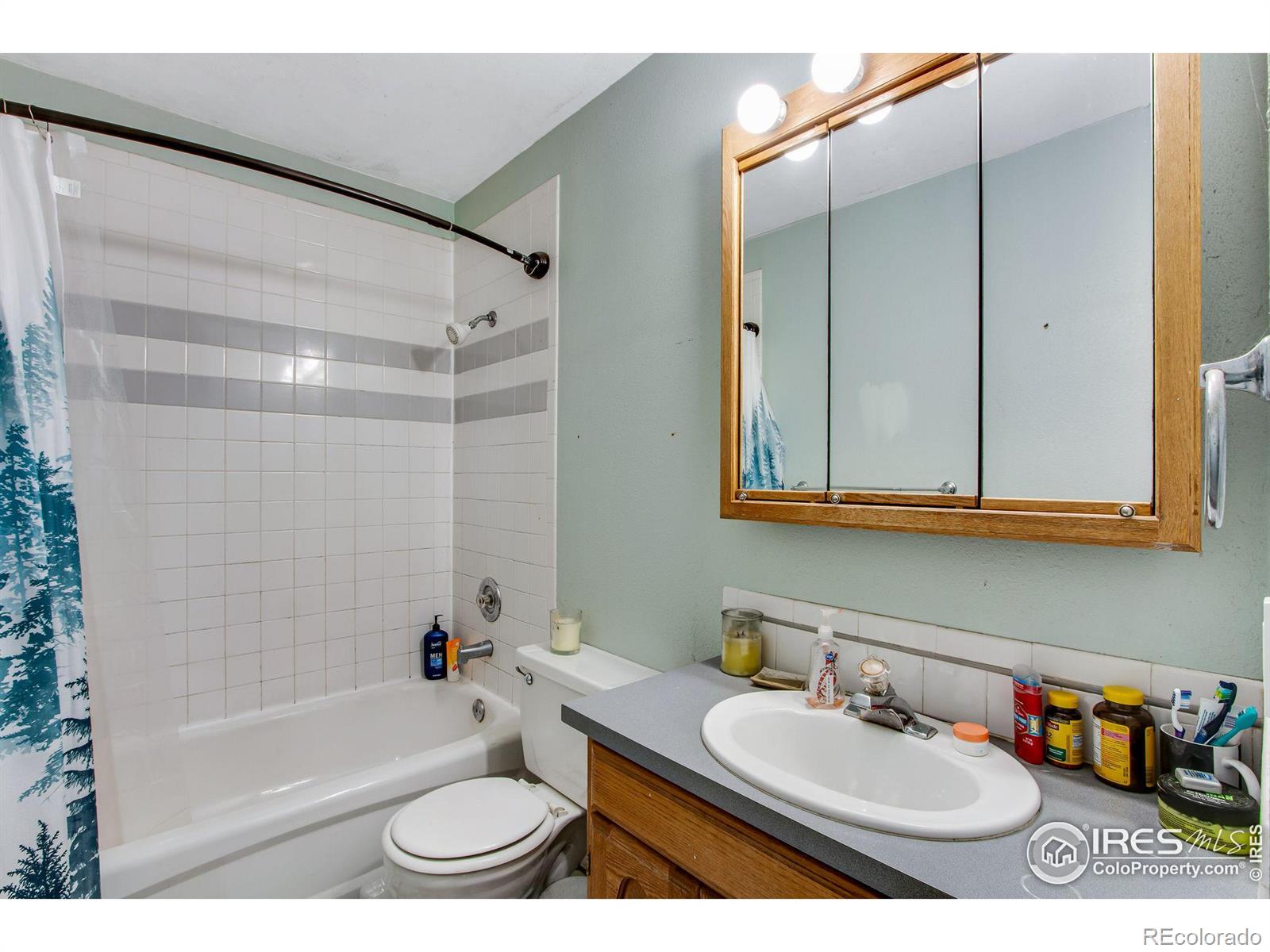 MLS Image #6 for 821  rocky road,fort collins, Colorado