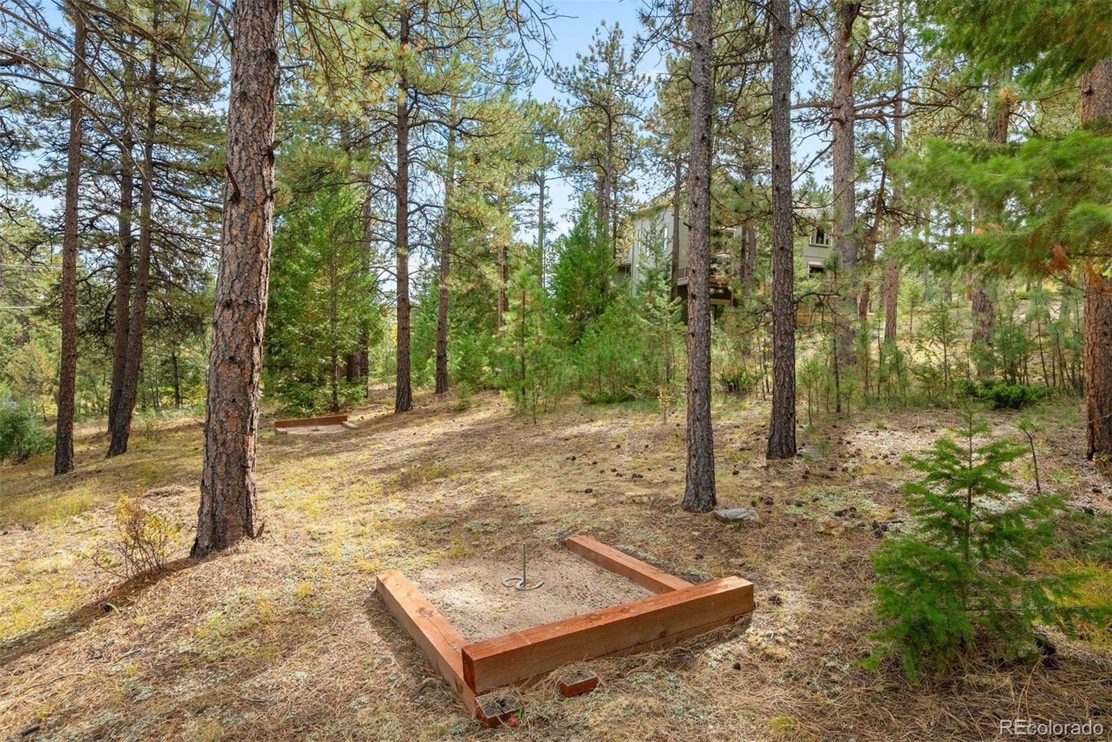 MLS Image #39 for 31413  morning star drive,evergreen, Colorado