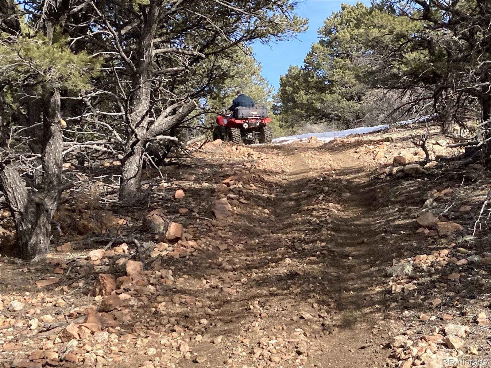 MLS Image #35 for 1668  pronghorn path ,texas creek, Colorado