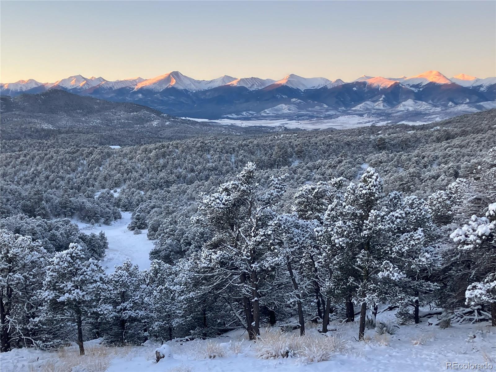 MLS Image #41 for 1668  pronghorn path ,texas creek, Colorado