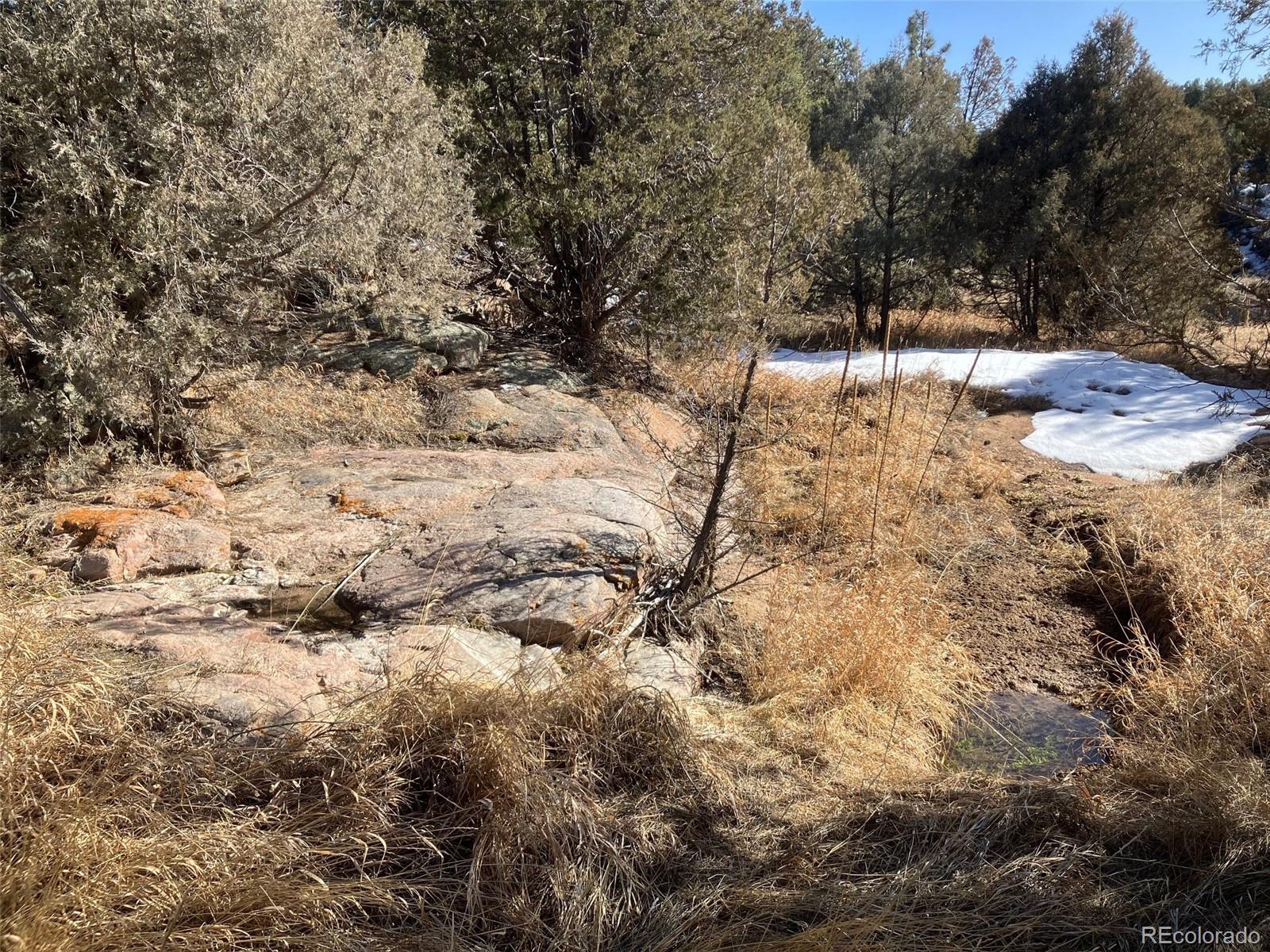 MLS Image #49 for 1668  pronghorn path ,texas creek, Colorado