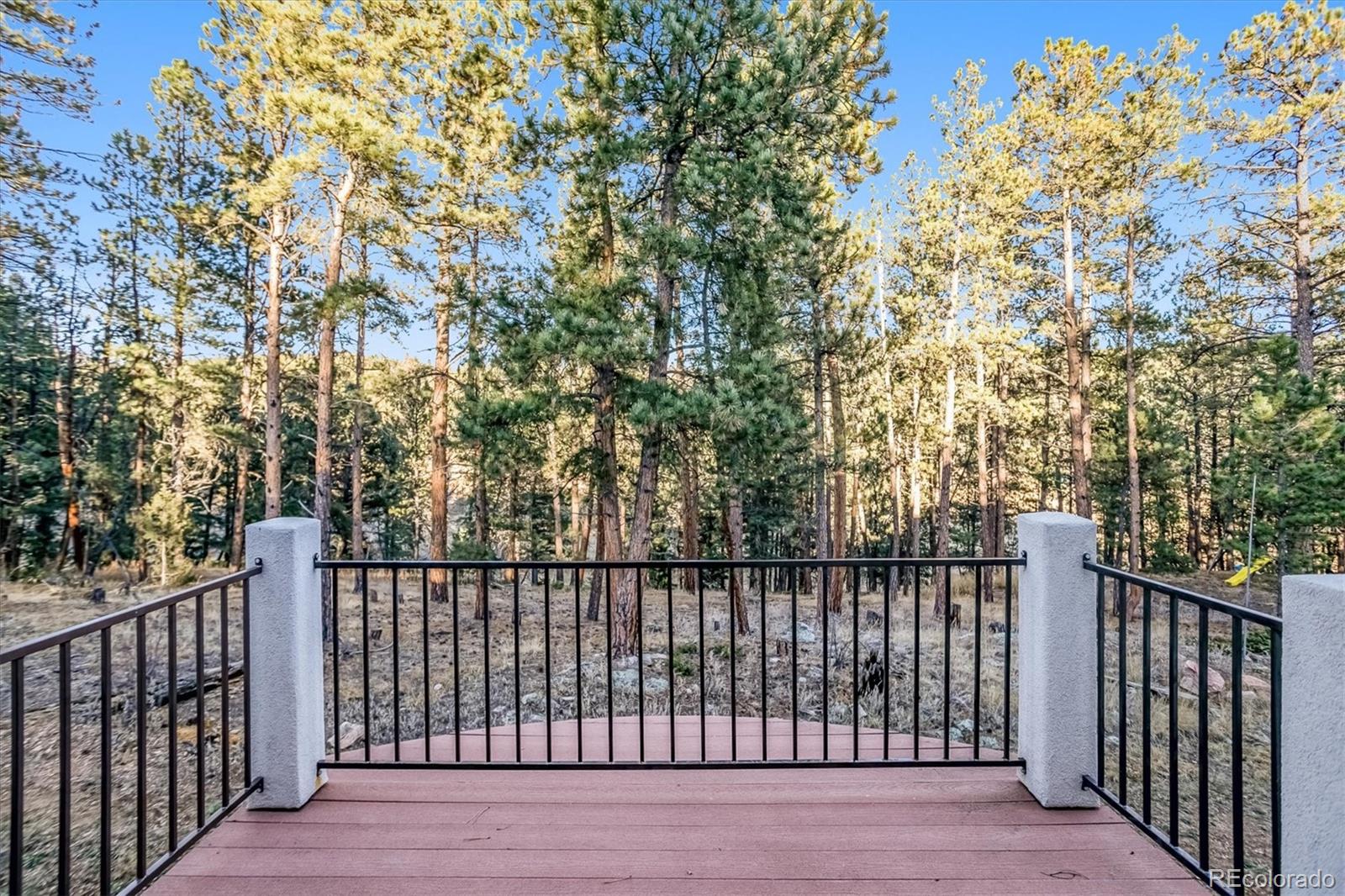 MLS Image #33 for 13006 s noka trail,pine, Colorado