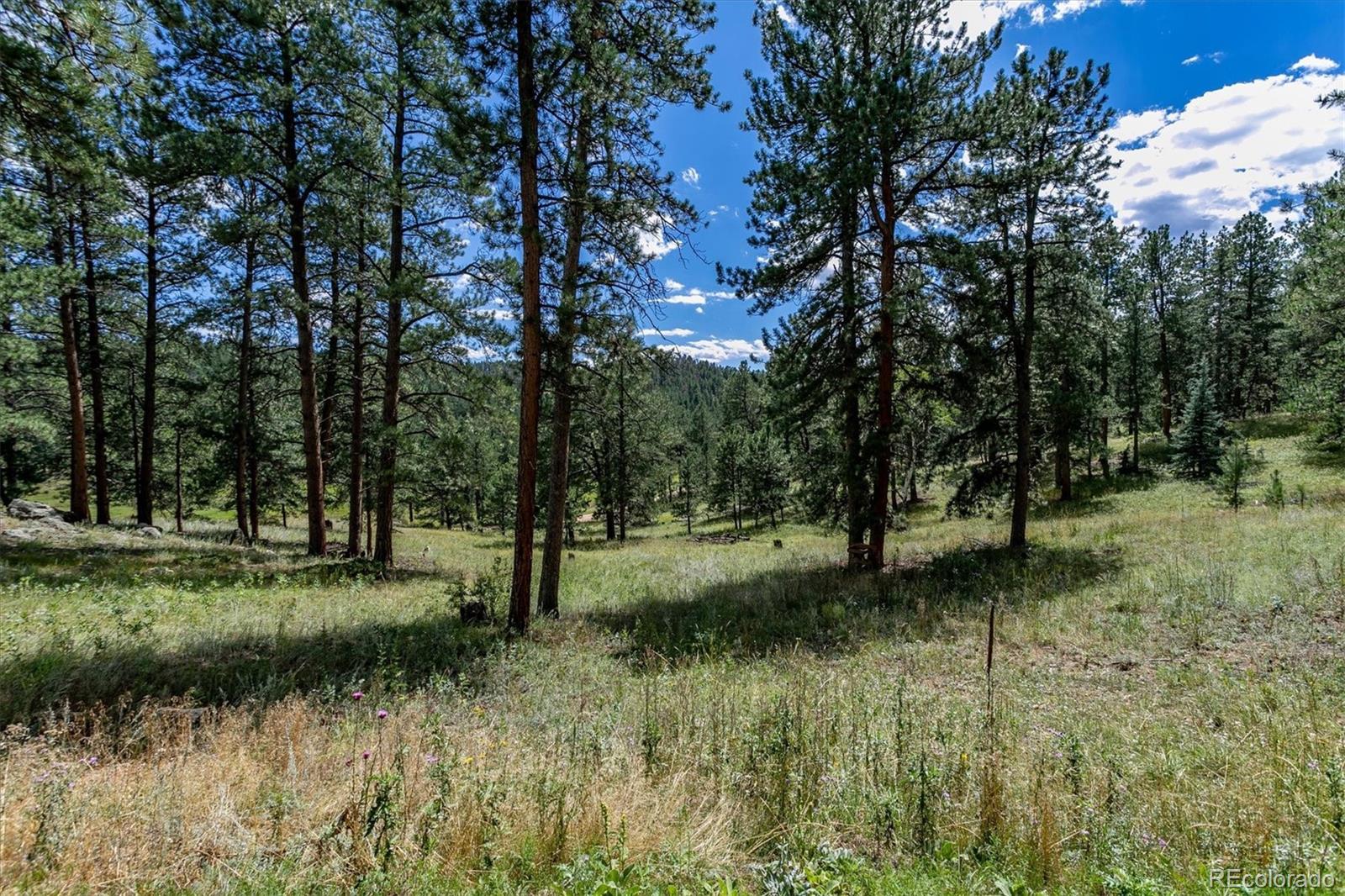 MLS Image #7 for 13006 s noka trail,pine, Colorado