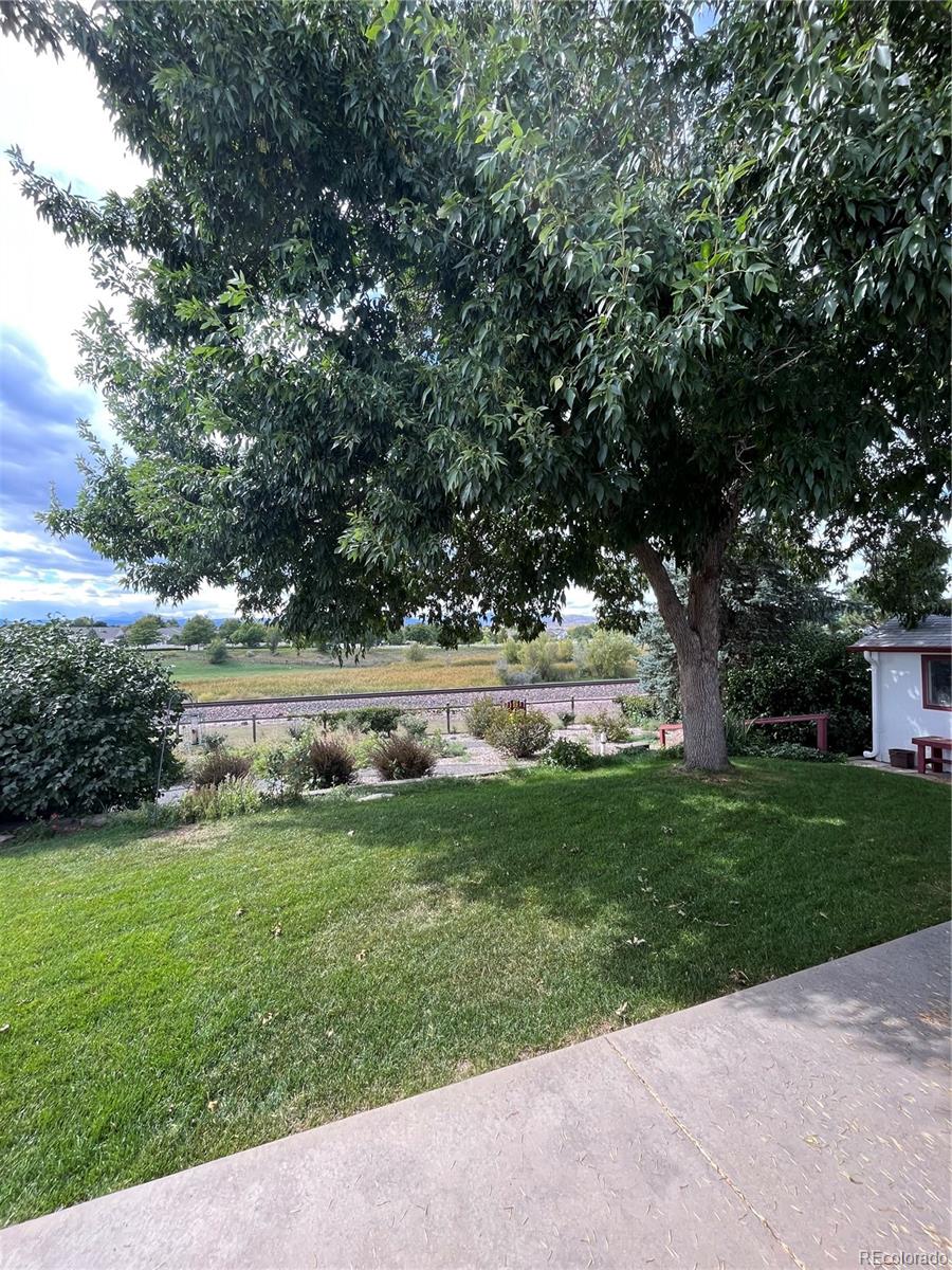 MLS Image #10 for 4891  filbert drive,loveland, Colorado