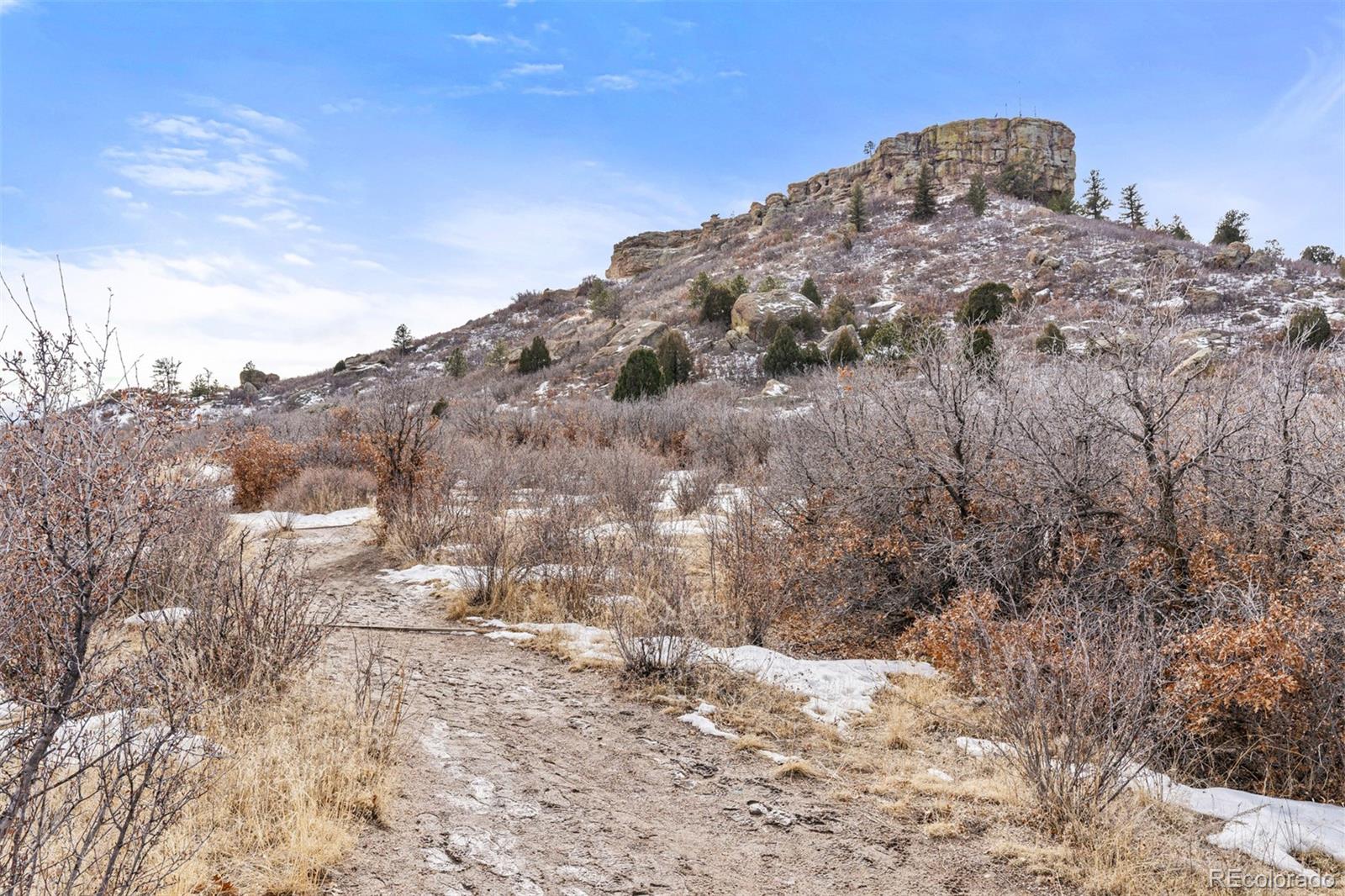 MLS Image #45 for 1516  quail lane,castle rock, Colorado