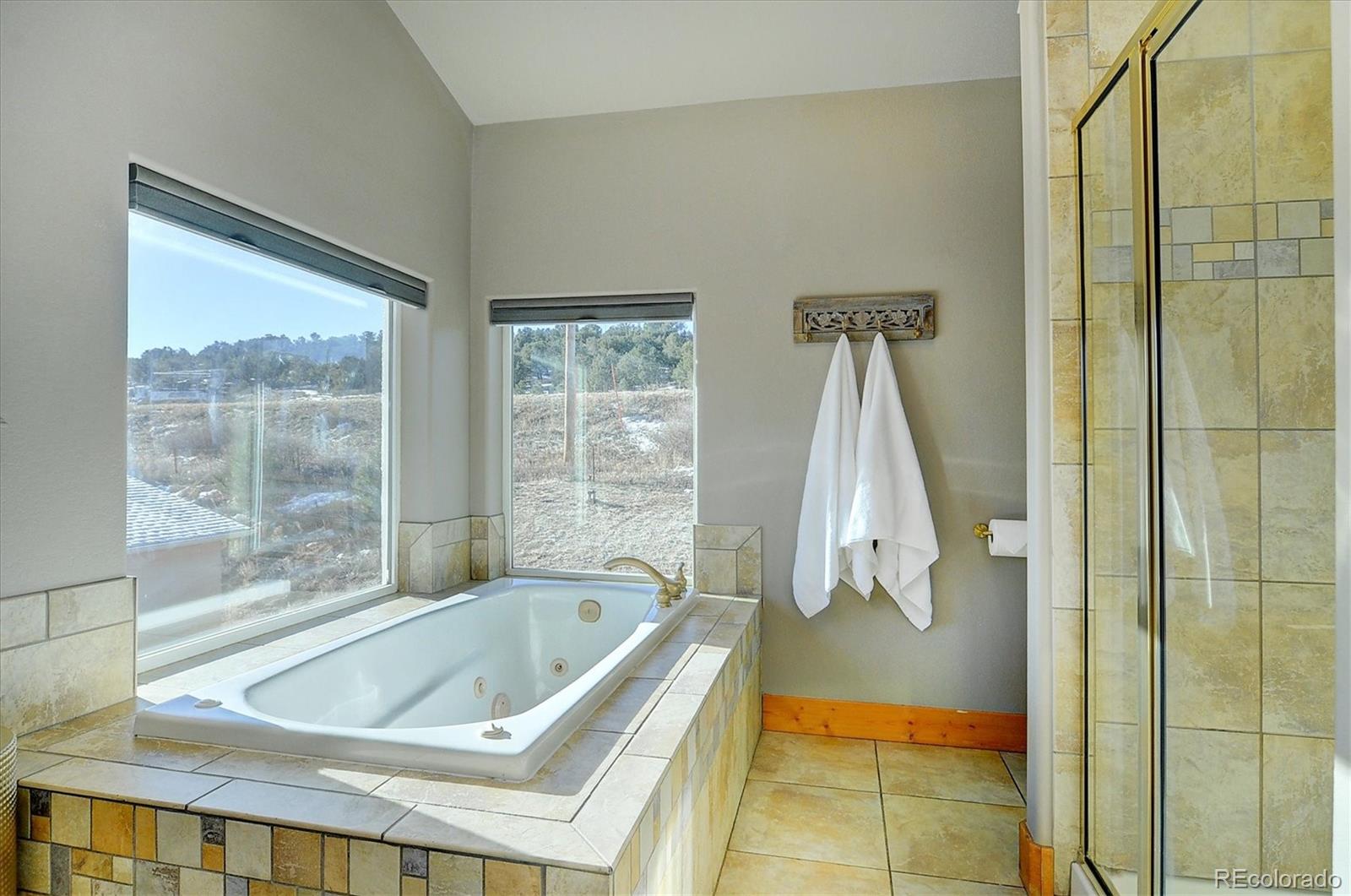 MLS Image #23 for 24100  county road 301 a ,buena vista, Colorado