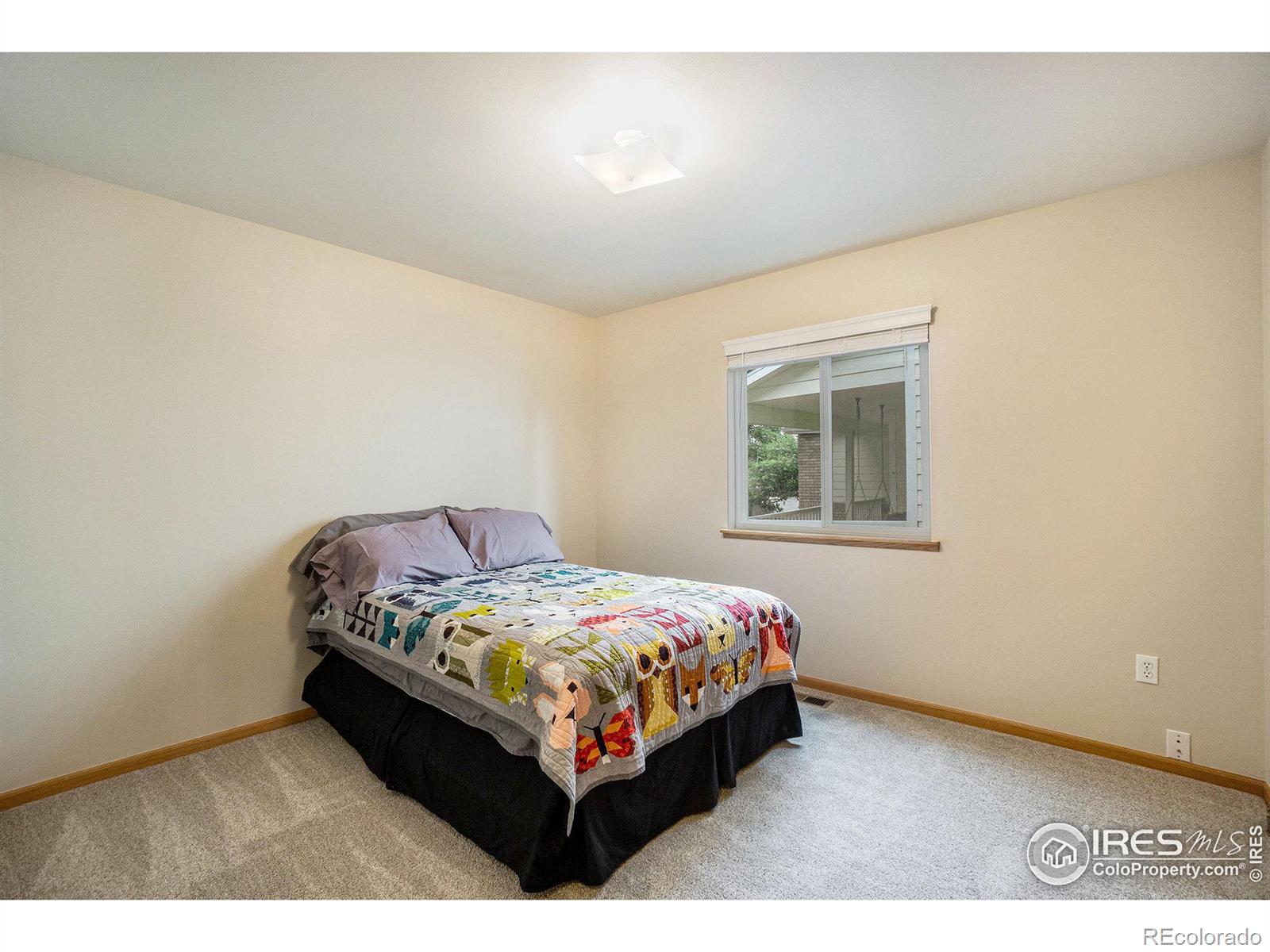 MLS Image #15 for 4128  montmorency place,loveland, Colorado