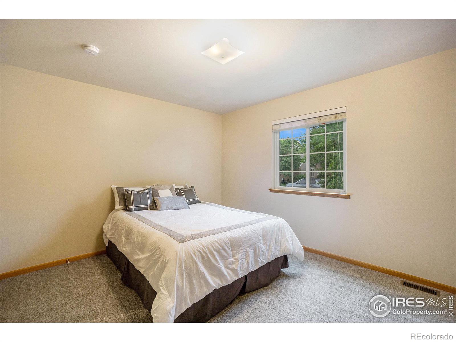 MLS Image #17 for 4128  montmorency place,loveland, Colorado