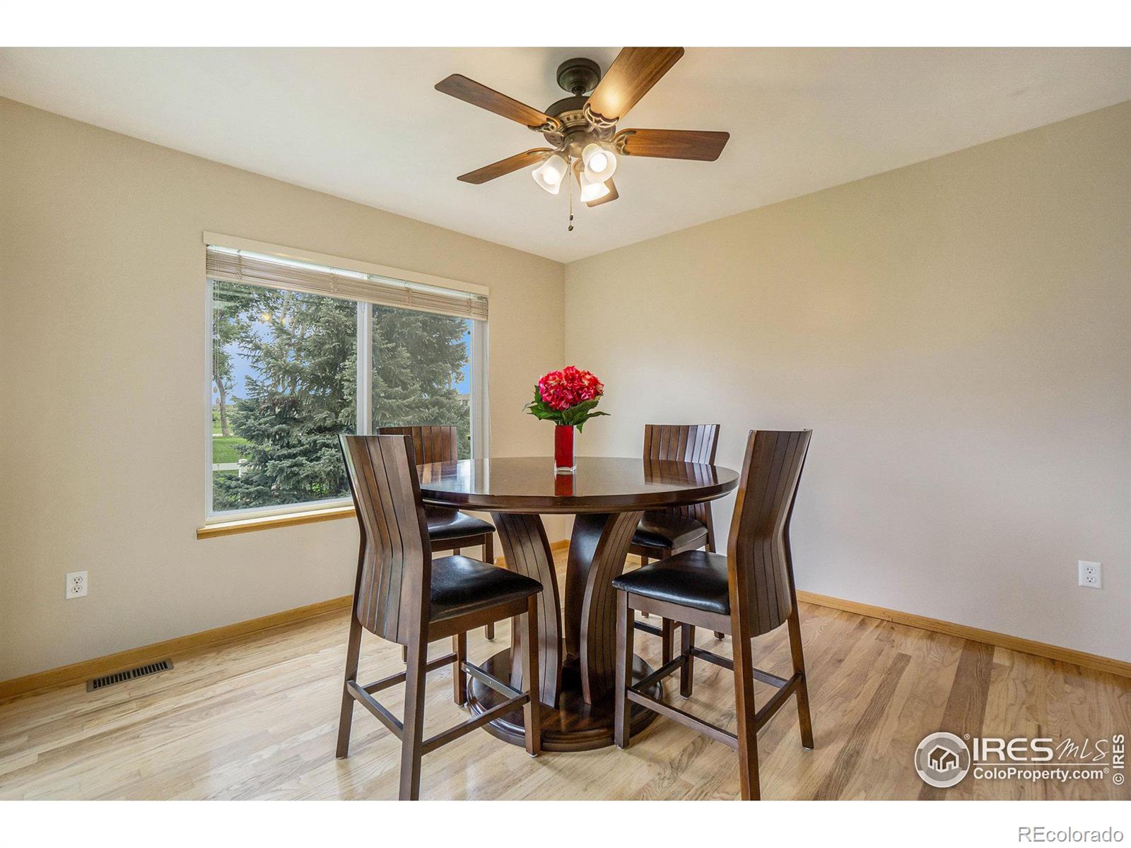MLS Image #9 for 4128  montmorency place,loveland, Colorado