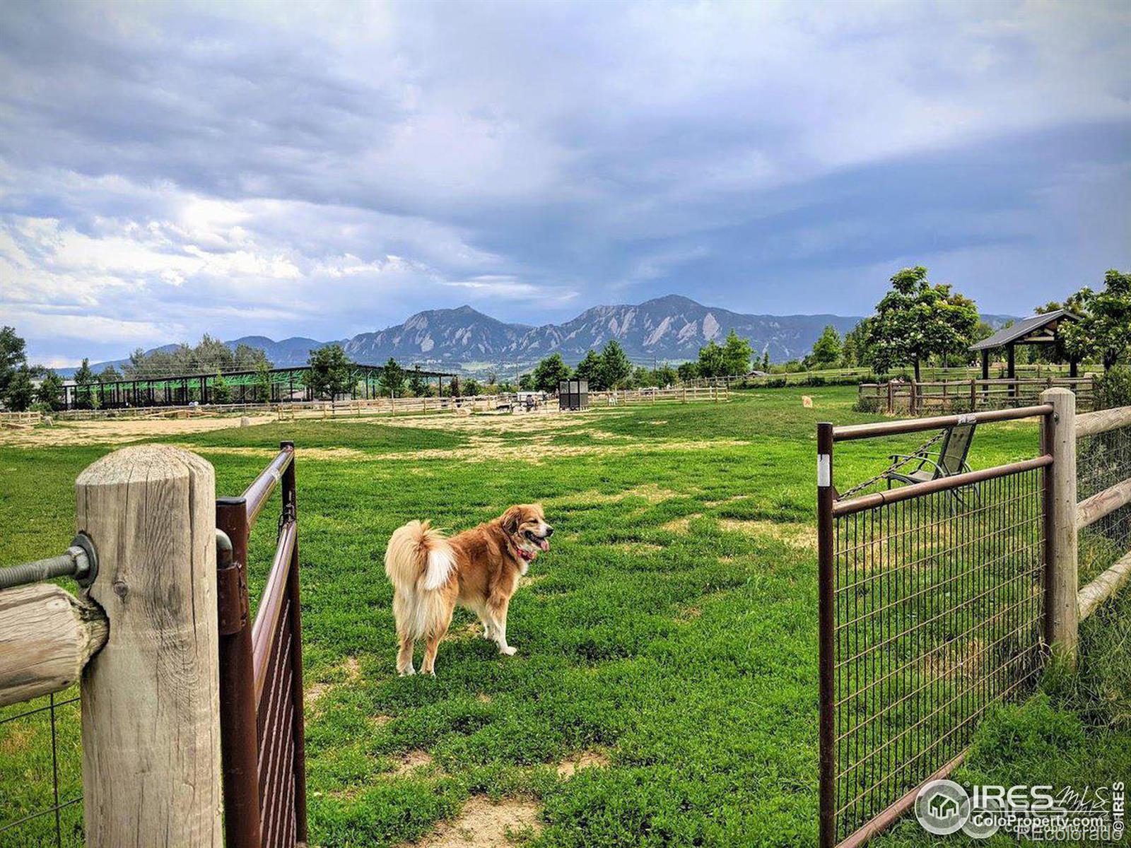 MLS Image #33 for 4852  darwin court,boulder, Colorado