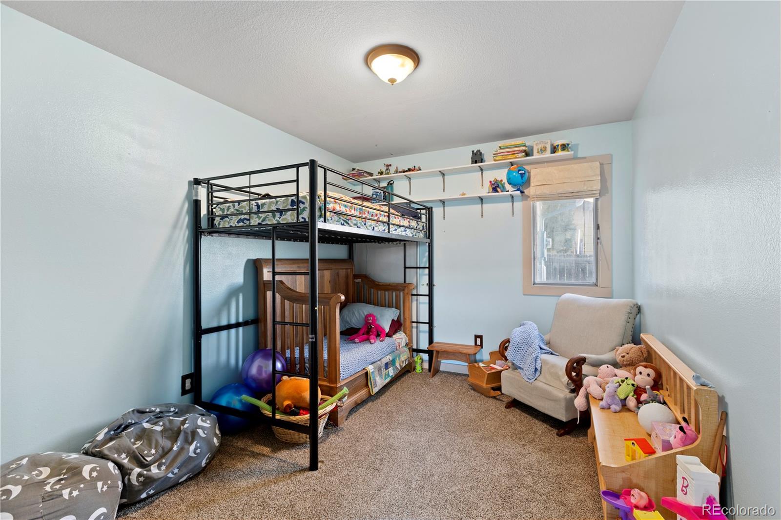 MLS Image #14 for 10  daisy court,windsor, Colorado
