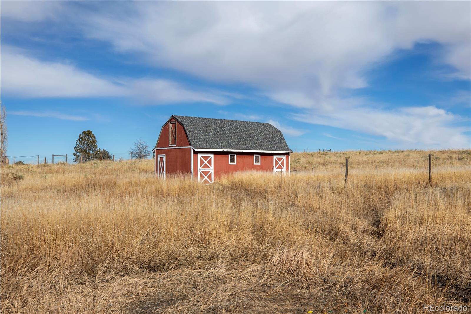 MLS Image #10 for 12156  tomahawk road,parker, Colorado