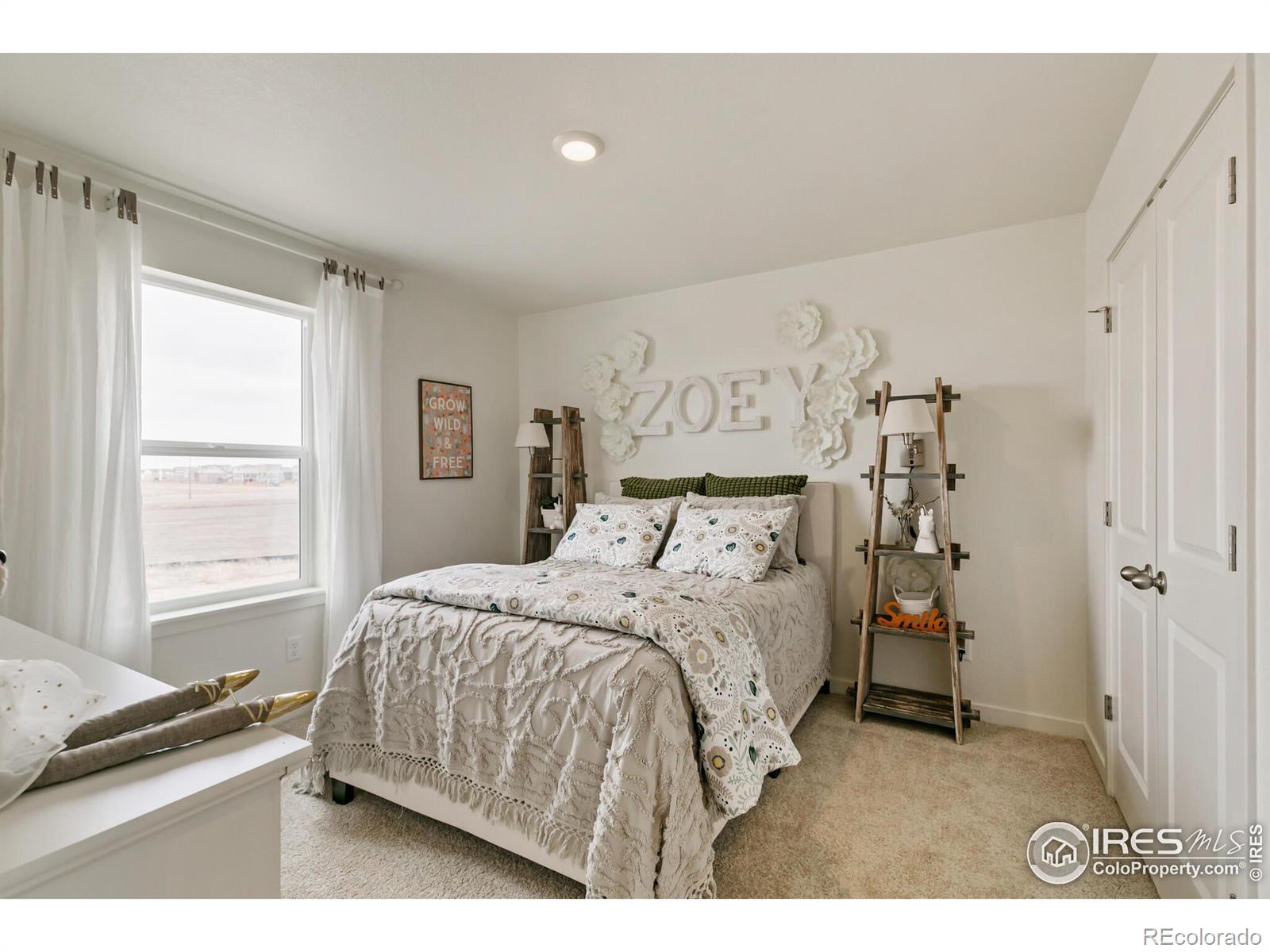 MLS Image #25 for 926  london way,severance, Colorado