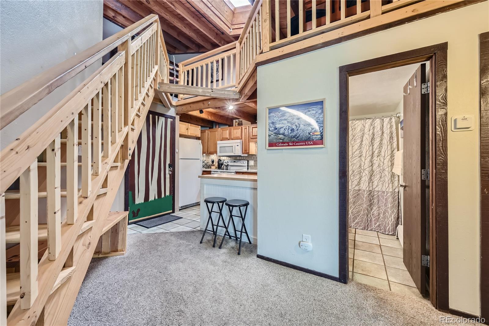 MLS Image #3 for 2400  lodge pole circle,silverthorne, Colorado