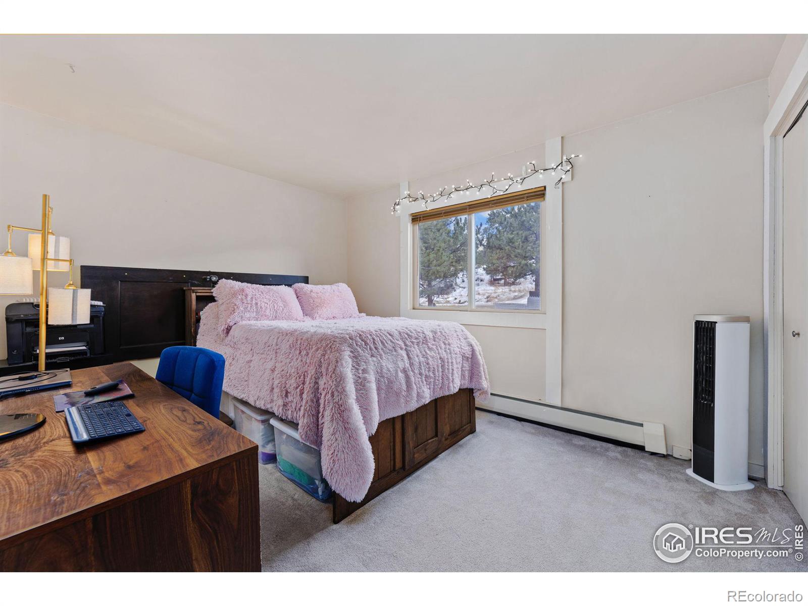 MLS Image #17 for 540 w elkhorn avenue,estes park, Colorado