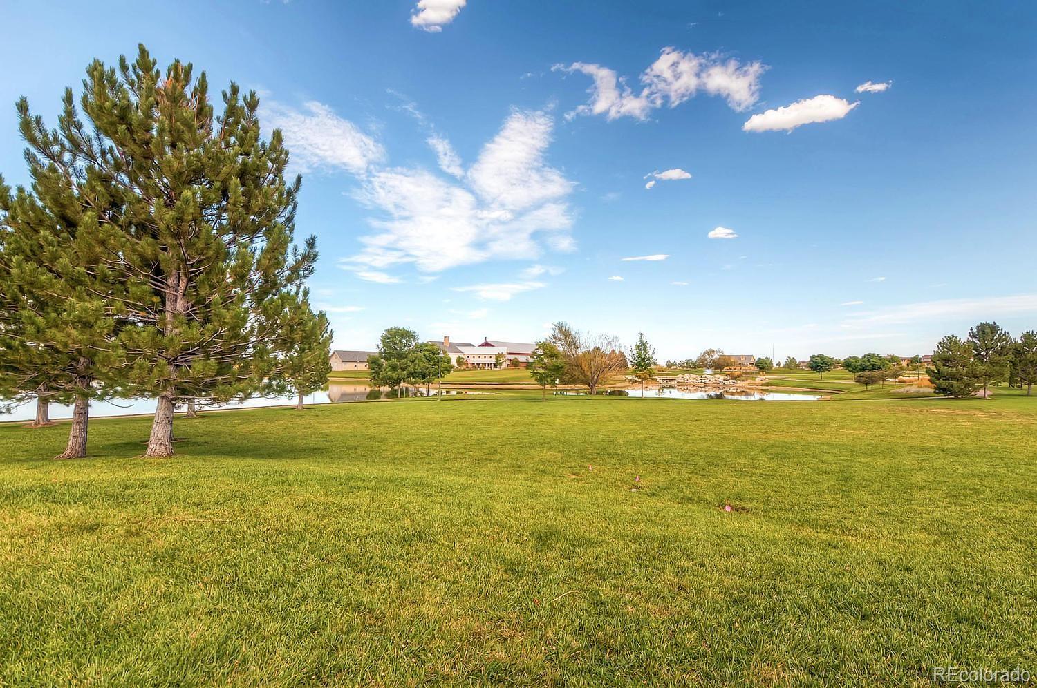 MLS Image #29 for 10089  yampa street,commerce city, Colorado
